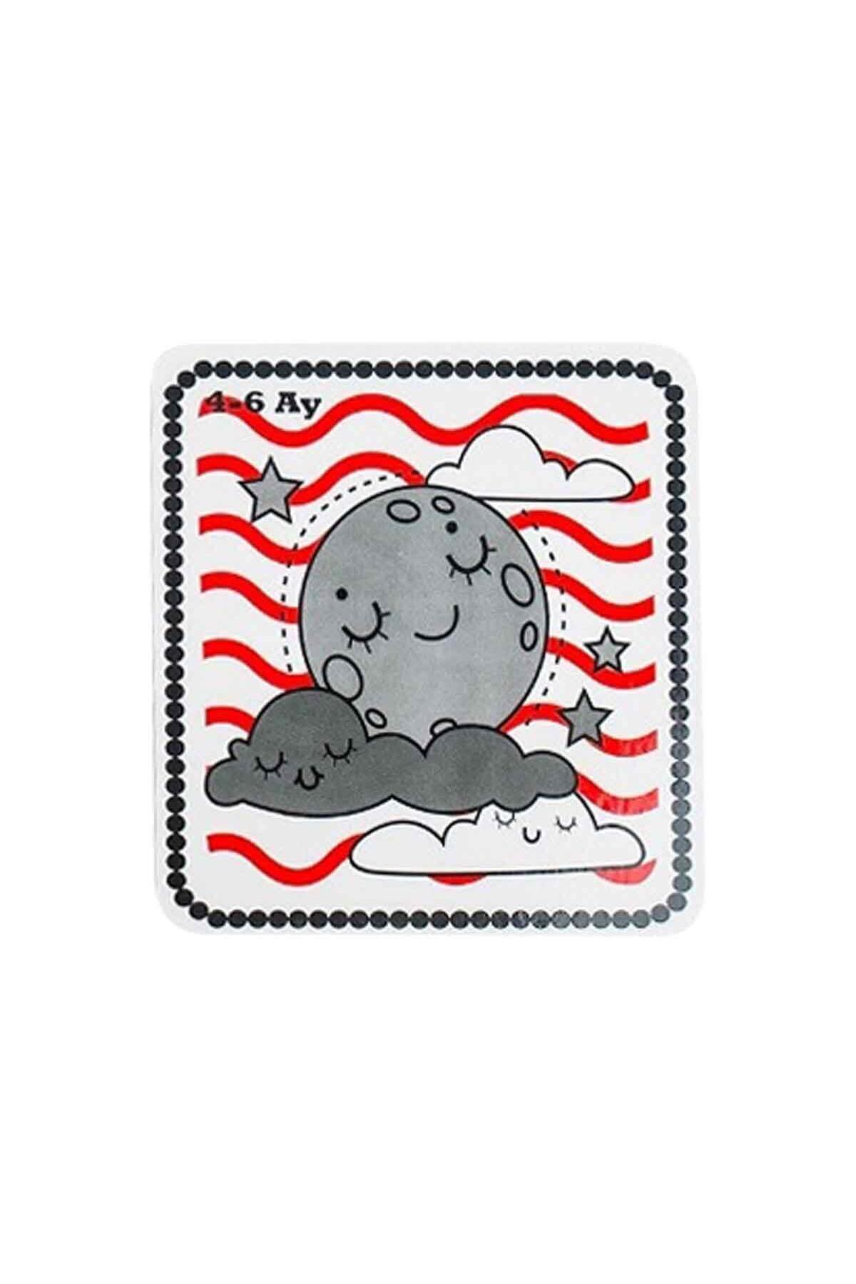 Diytoy Cards Book Bebeğim İlk Zeka Kartları fotoğrafı 4 (önizleme)