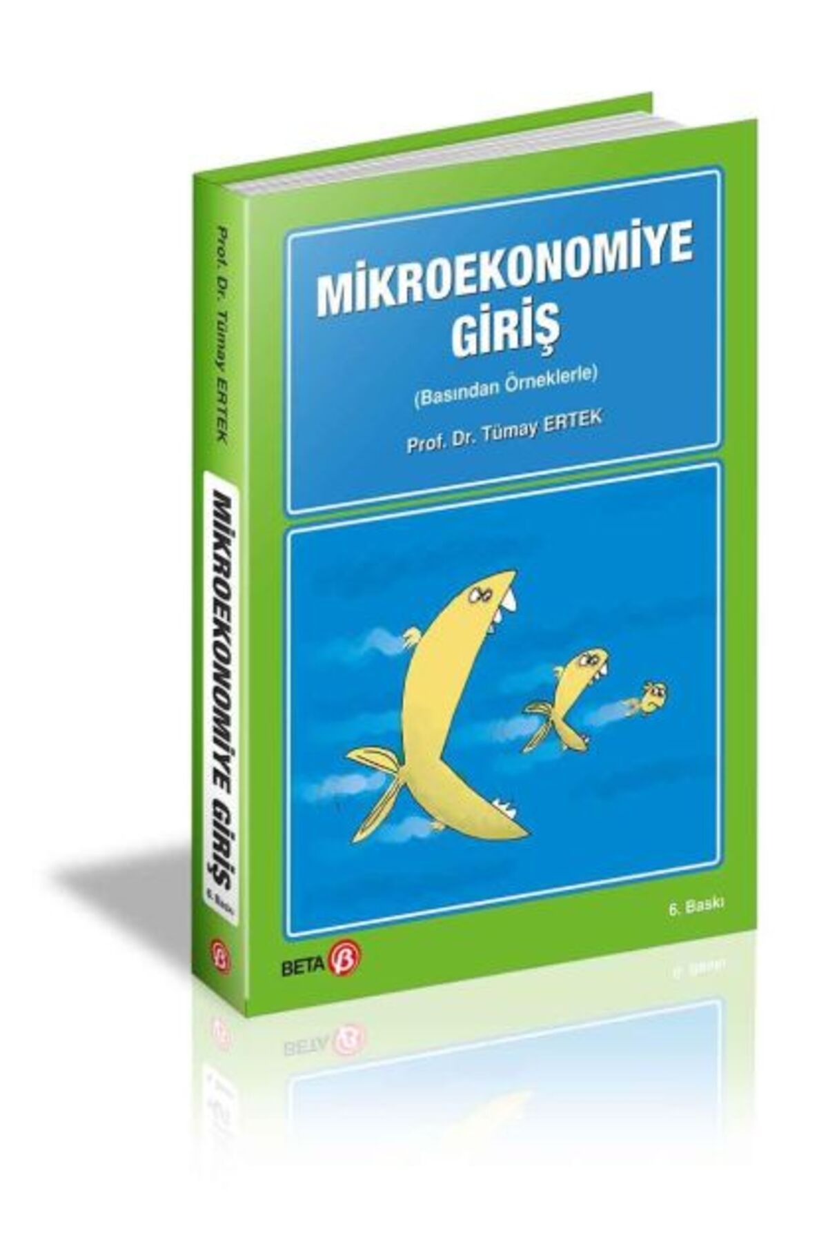 Destek Yayınları Mikroekonomiye Giriş Basından Örneklerle