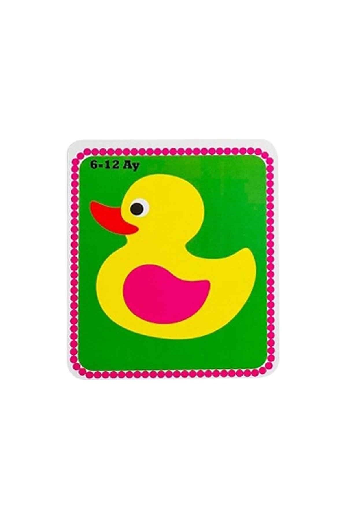 Diytoy Cards Book Bebeğim İlk Zeka Kartları fotoğrafı 2 (önizleme)