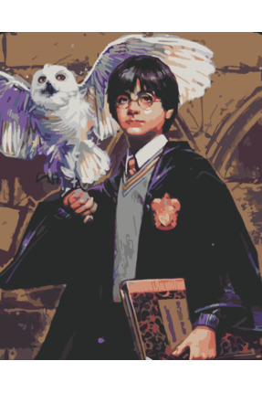 wombhobby HARRY POTTER VE BAYKUŞU Sayılarla Boyama Seti 40x50 Çerçeveli (Kasn...