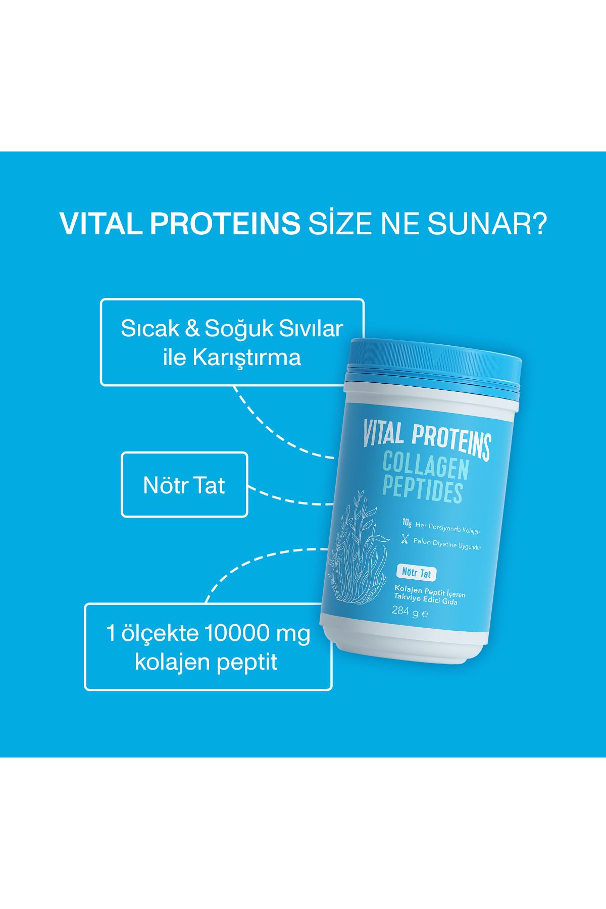 کلاژن پپتیدهای پپتید پودر نوع 1 و 3 عضله پوست پشتیبانی مو 284 گرم Vital Proteins