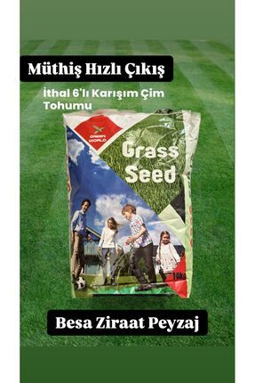 Grass Seed Süper Hızlı Çimlenen 6'lı Karışım Çim Tohumu -10 Kg