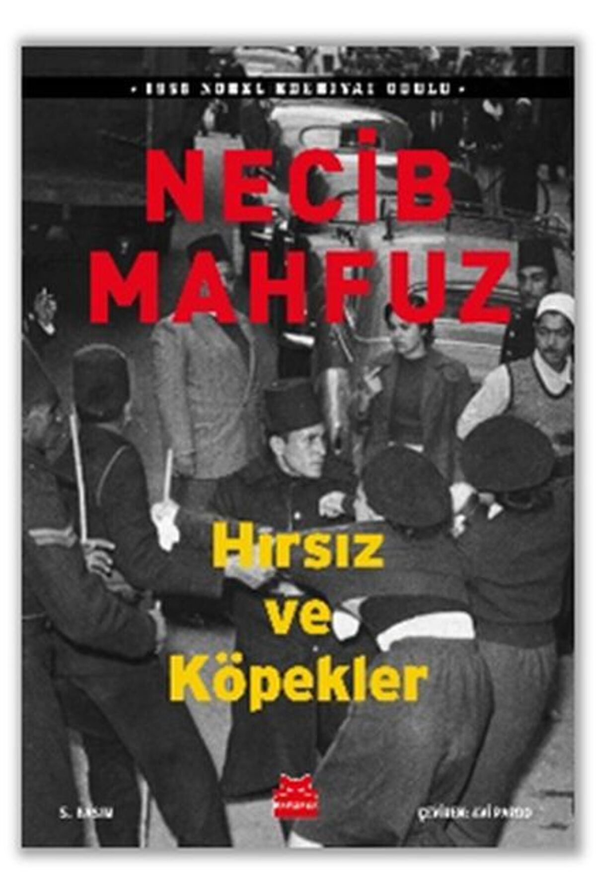 Kırmızı Kedi Çocuk Hırsız ve Köpekler