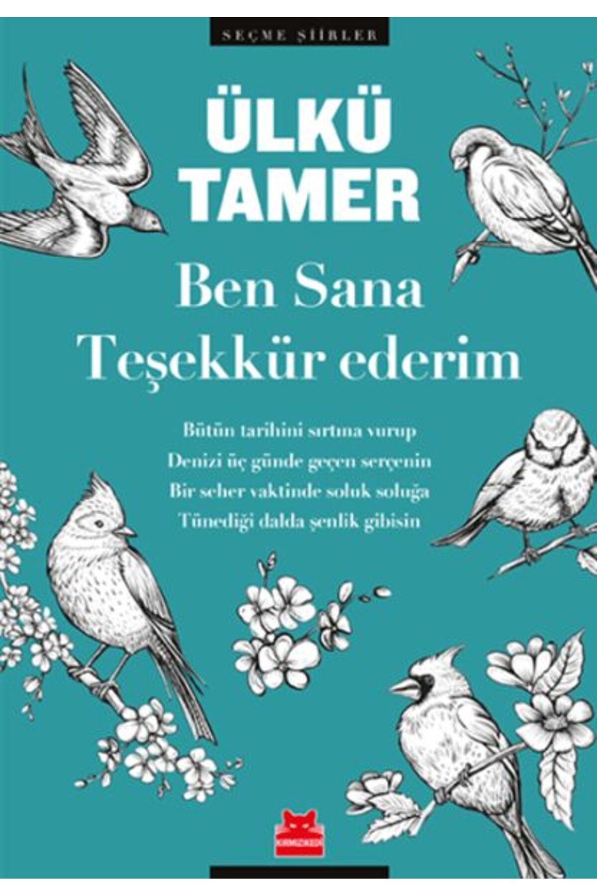 Kırmızı Kedi Çocuk Ben Sana Teşekkür Ederim