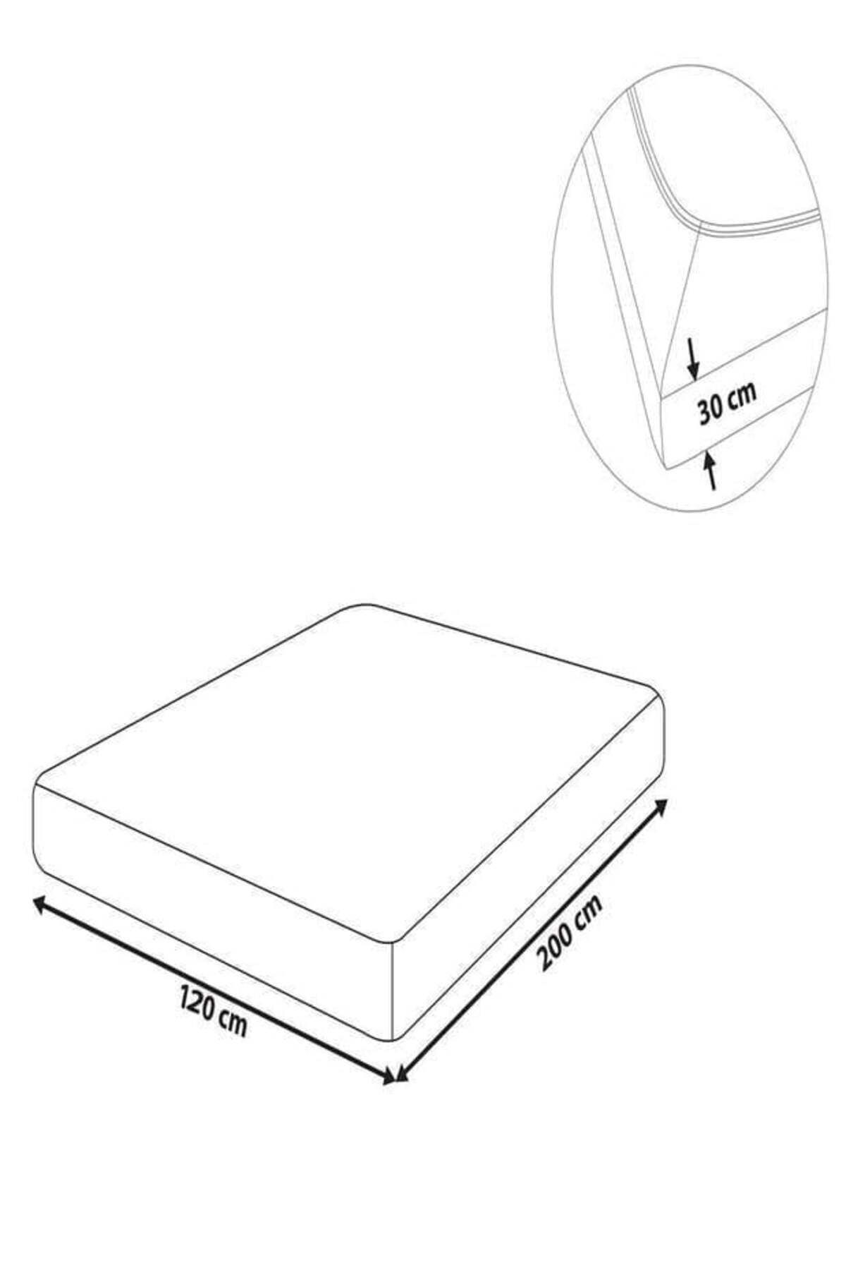 COTENCONCEPT-2 Plain Cotton Single Sheets 120 X 200 X 30 cm Elastic Combed Cotton Sheets 4
