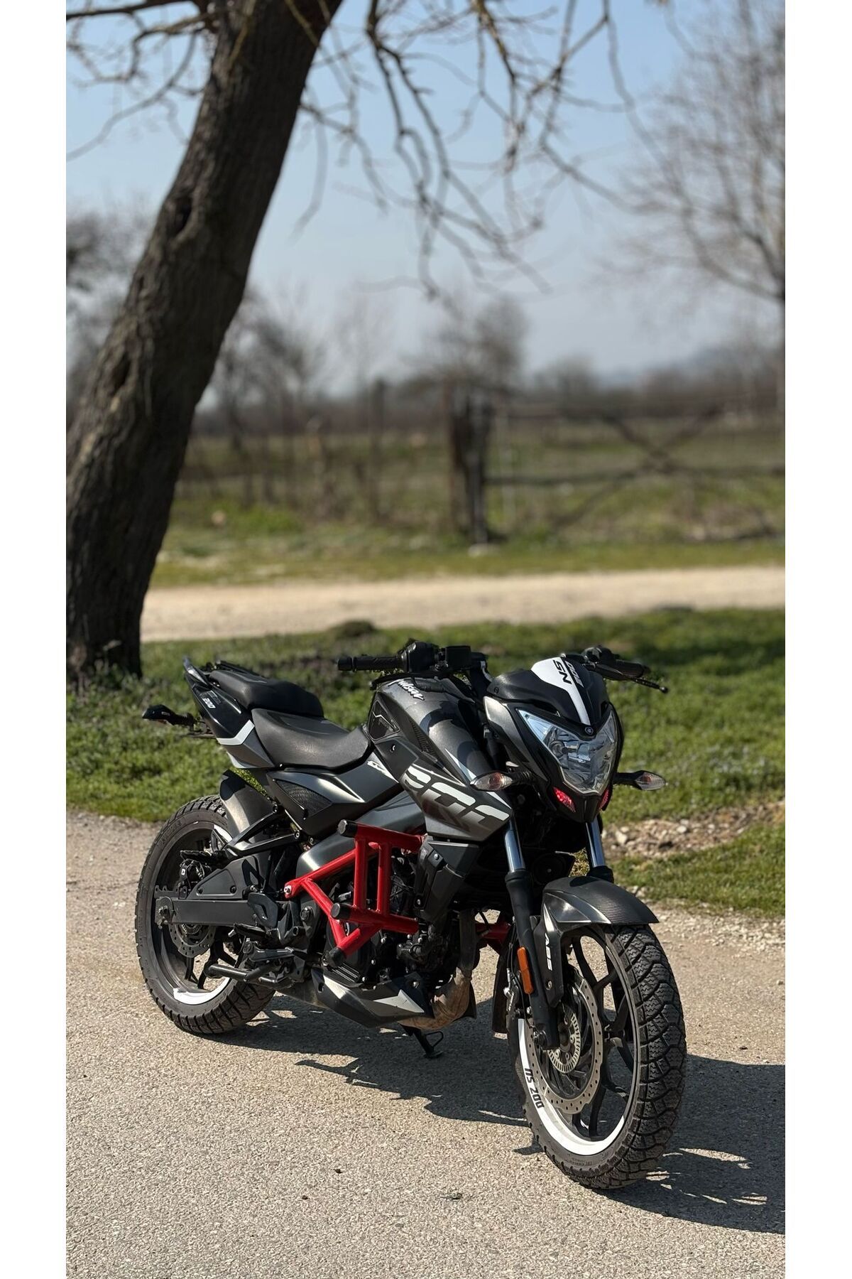 Hamza Motors Pulsar NS200  Uyumlu Ön koruma demiri (Kırmızı)