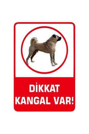Baskı Keyfi Dikkat Köpek Var (Metal Levha)