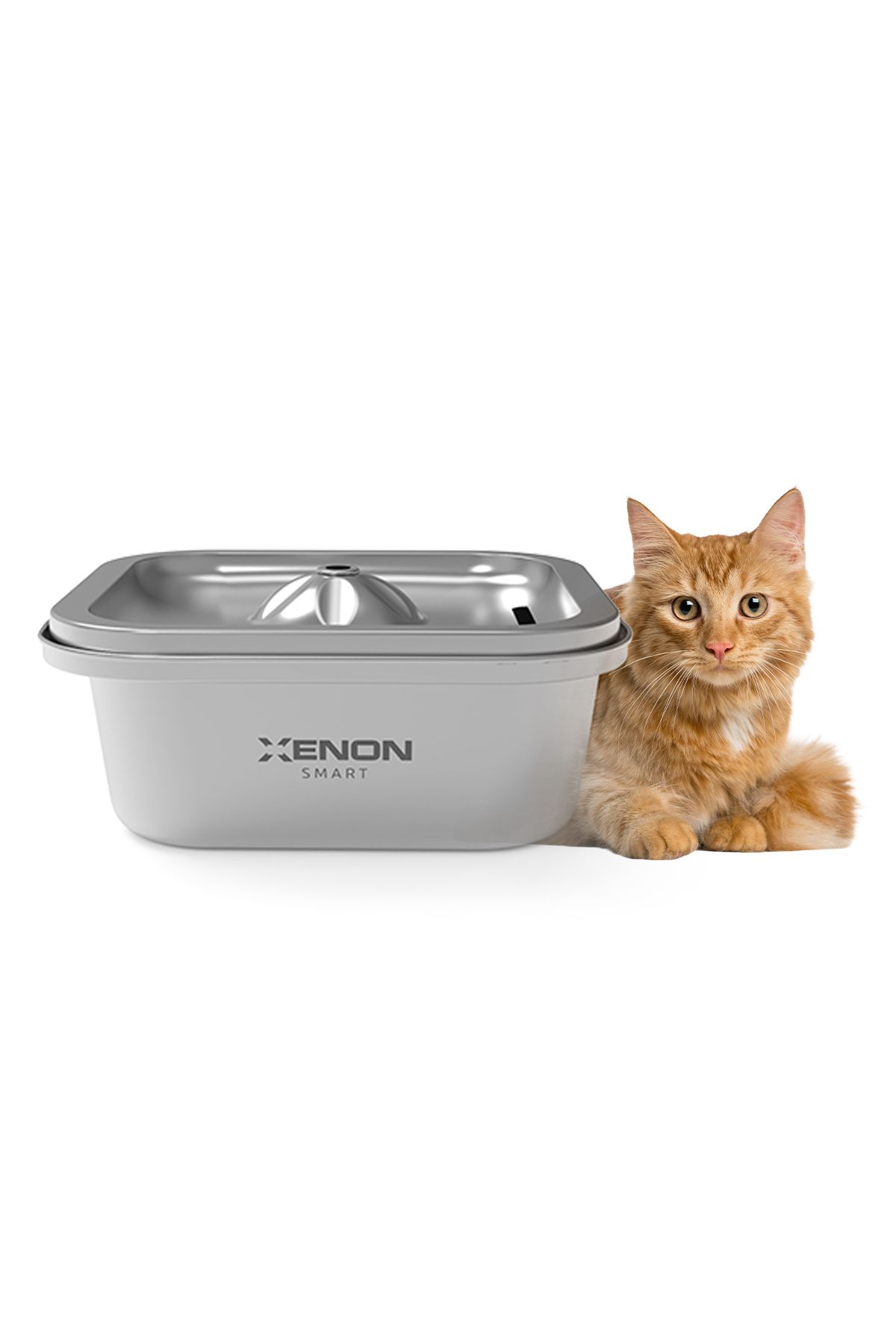 Xenon Smart-Programmable Smart Steel Food Container and Water Dispenser Set, Control Via Mobile App 3
