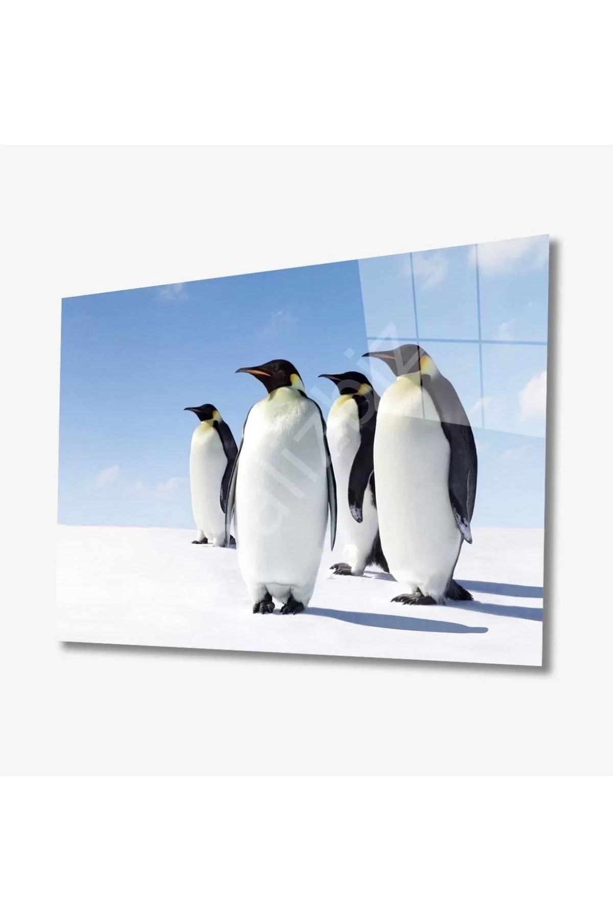 ÖYKÜ VE YİĞİT Penguen Hayvan Cam Tablo 4mm Dayanıklı Temperli Cam