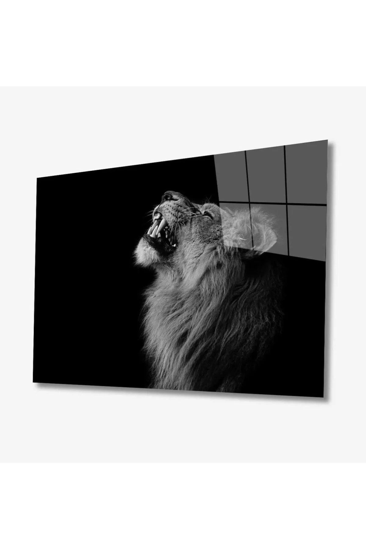 ÖYKÜ VE YİĞİT Aslan Hayvan Cam Tablo 4mm Dayanıklı Temperli Cam