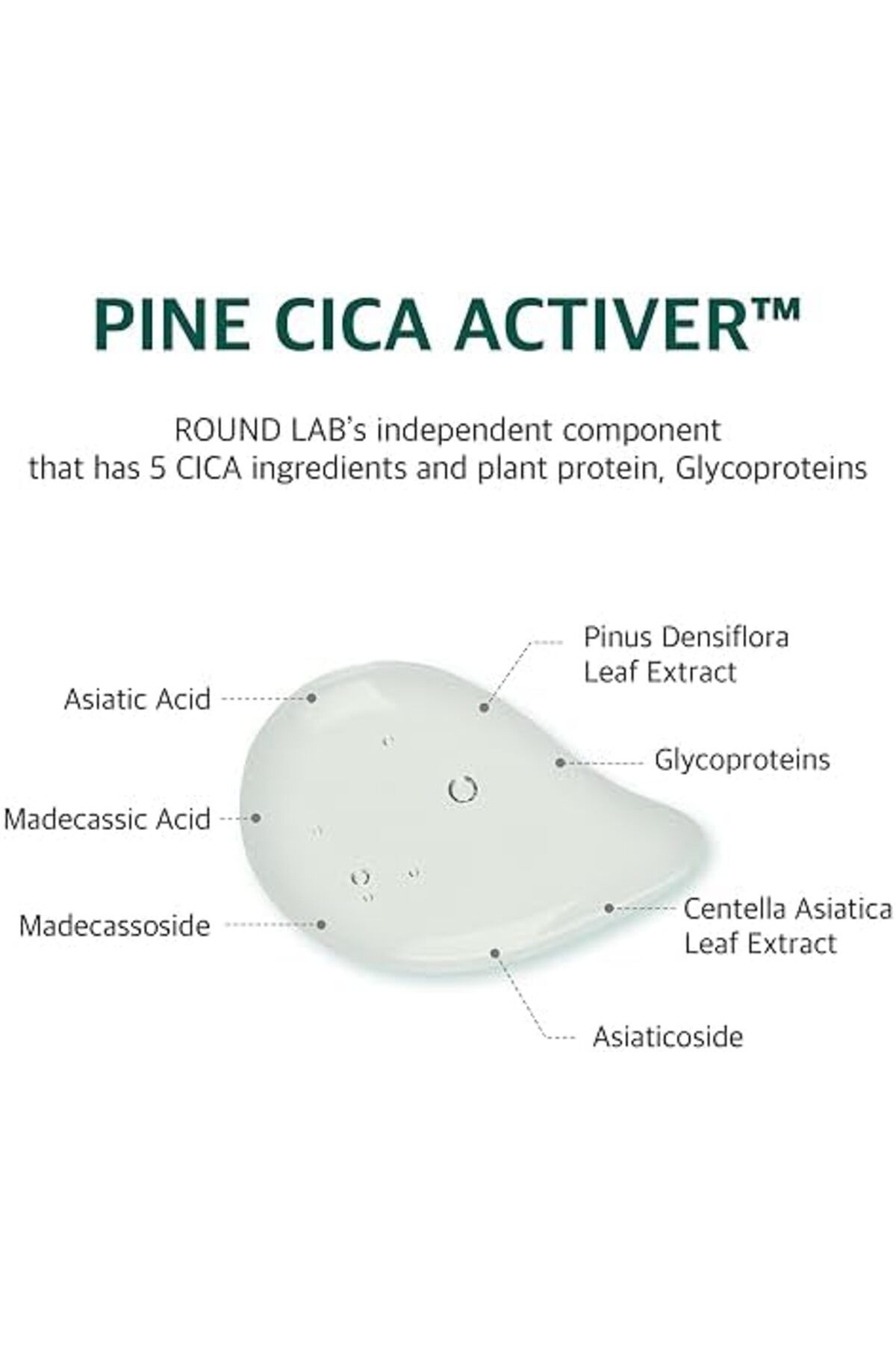 Round Lab-ROUND LAB Pine Calming Cica Sheet Mask (10ea) 8
