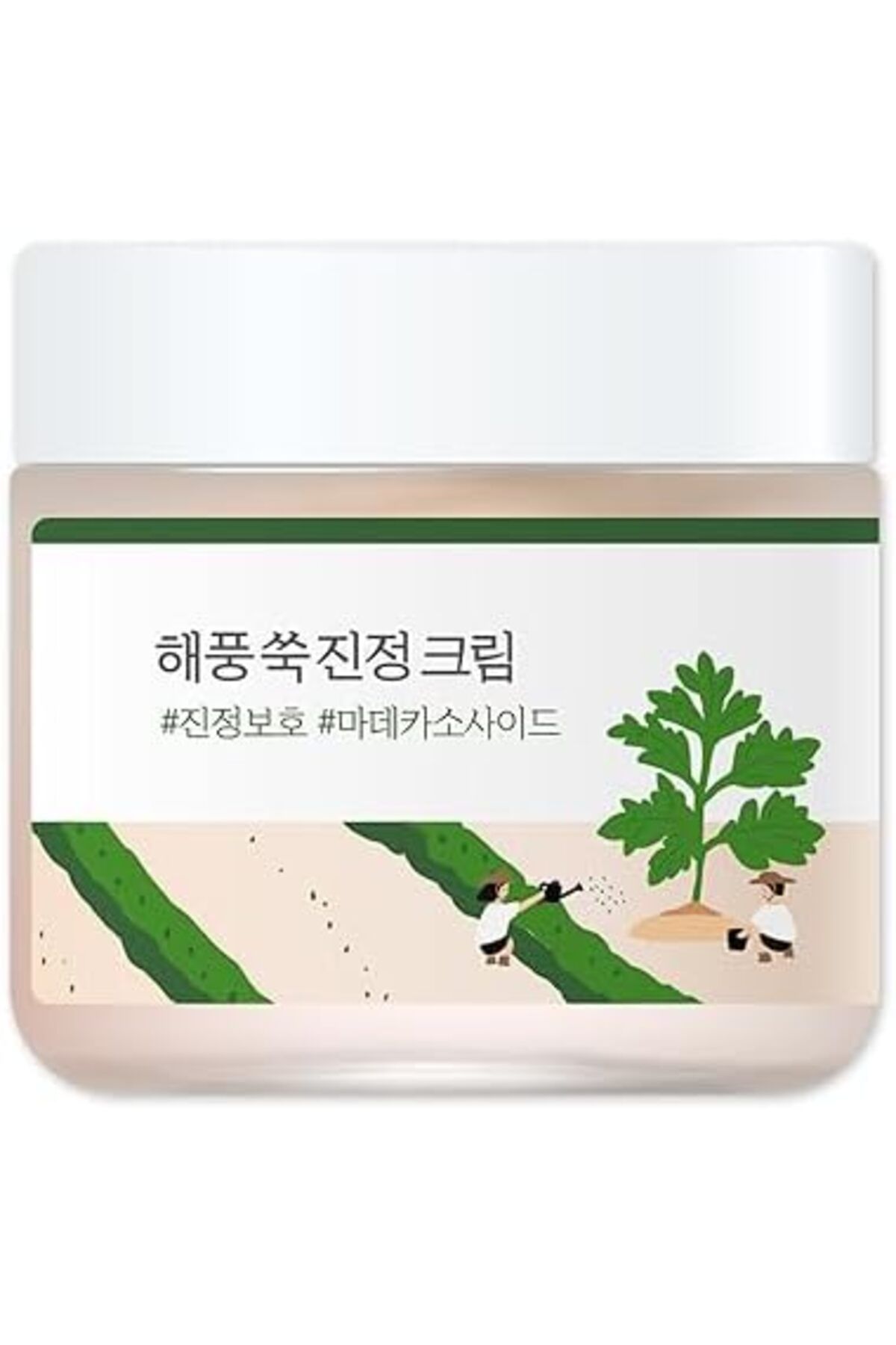 Round Lab-ROUND LAB Mugwort Calming Cream 80ml / Soothing, Moisturizing, Madecassoside, Calming Cream 2