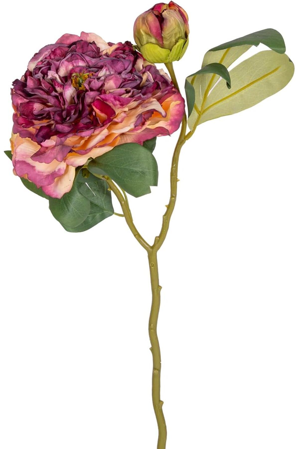 MEGOBİNE Megobine Gül Tomurcuklu Mor 50 Cm. shop 1073341