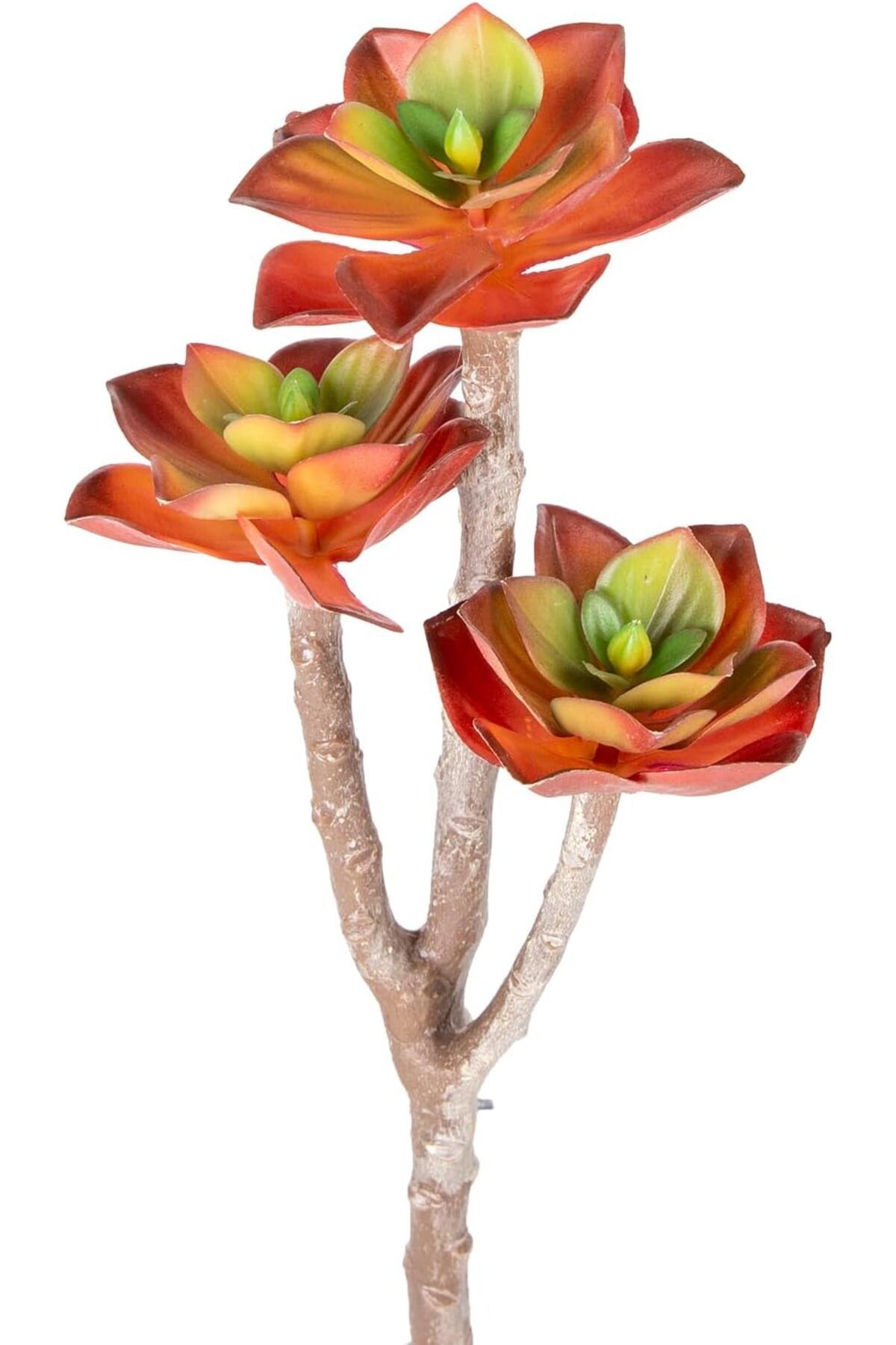MEGOBİNE Megobine Yapay Kaktüs Sukulent Kırmızı 35 Cm shop 1073341