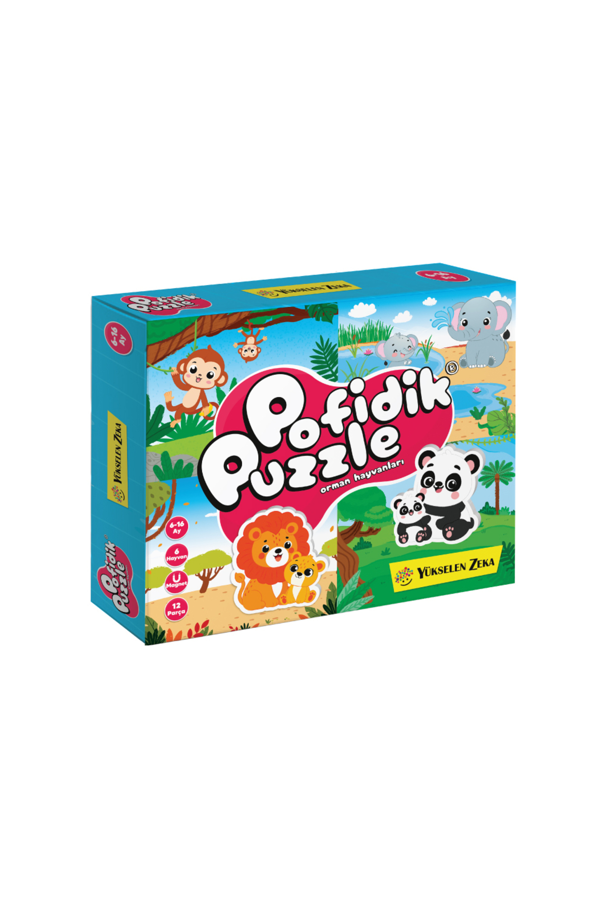 yükselen zeka 6-16 Ay Temel Setler Kolisi fotoğrafı 2 (önizleme)