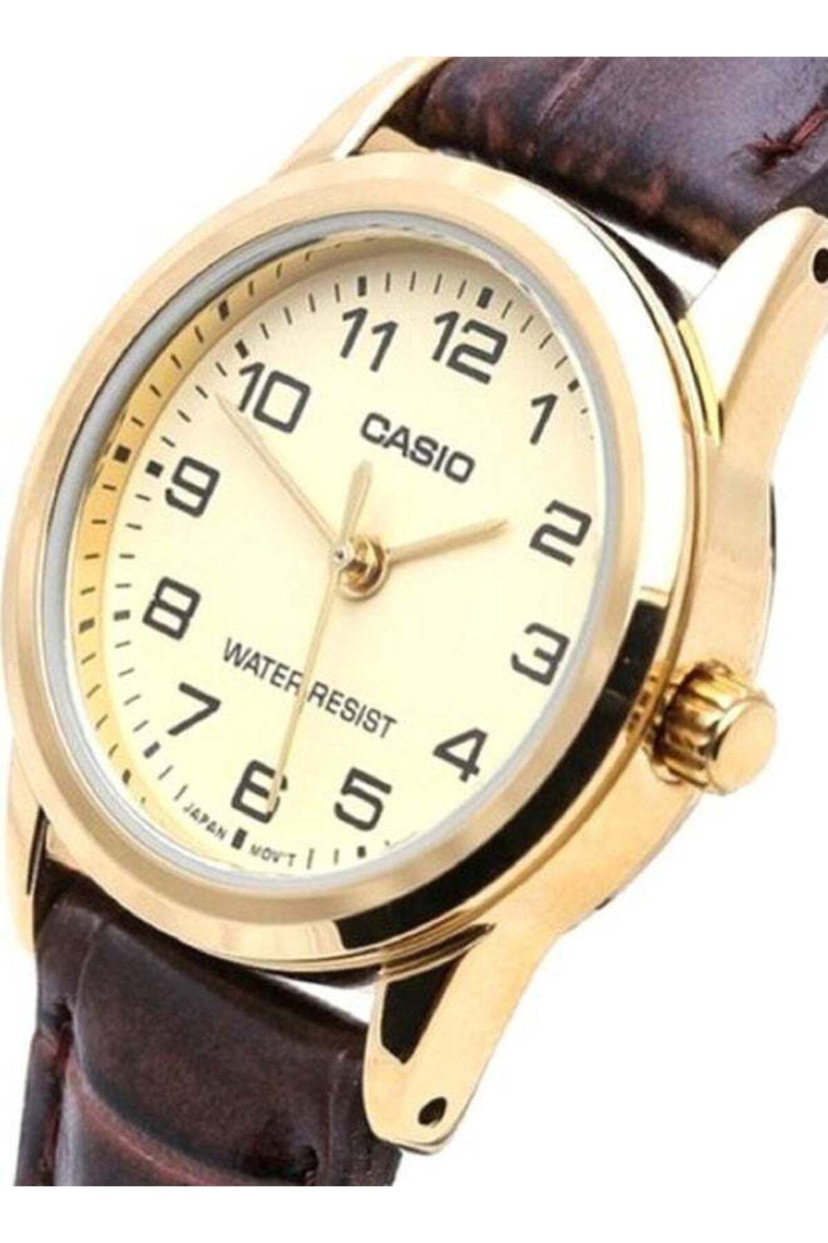 Casio-Mtp/ltp-v001gl-9budf Quartz Analog Watch with Leather Strap 5