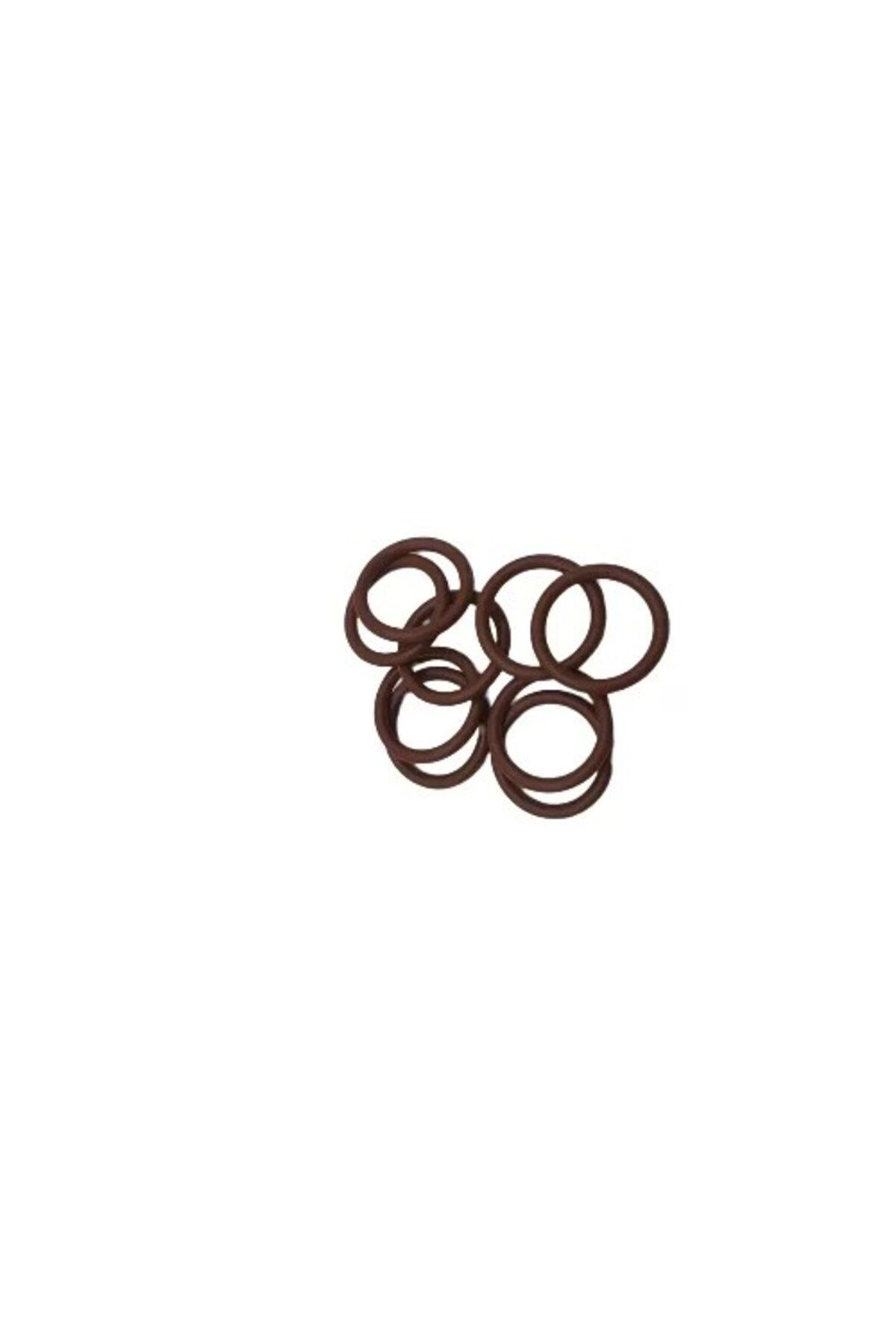 feifei Fkm Viton 75 Shore Oring K0 - 2.62X17.12