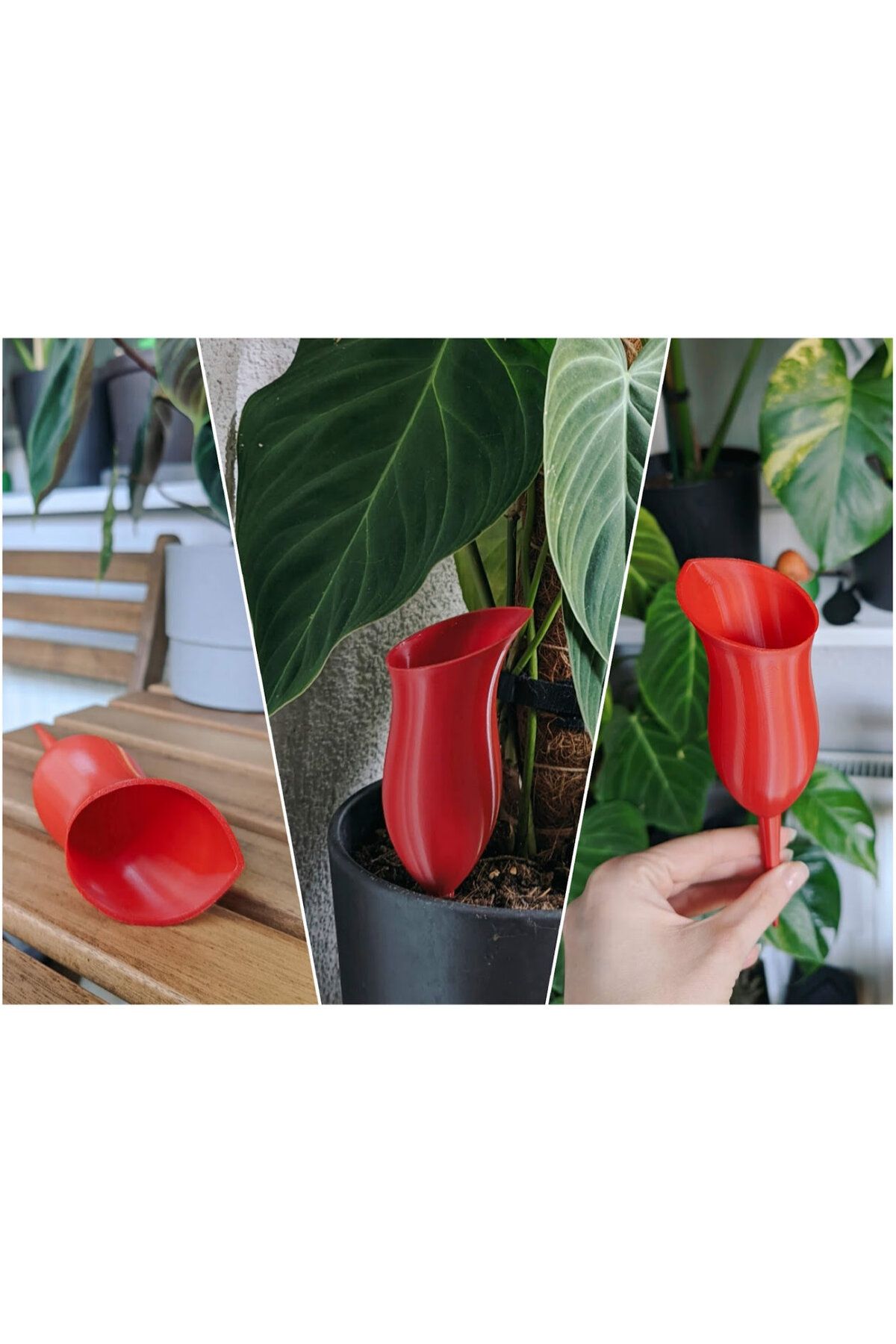 genomera Pitcher Bitkisi Şeklinde Suluk