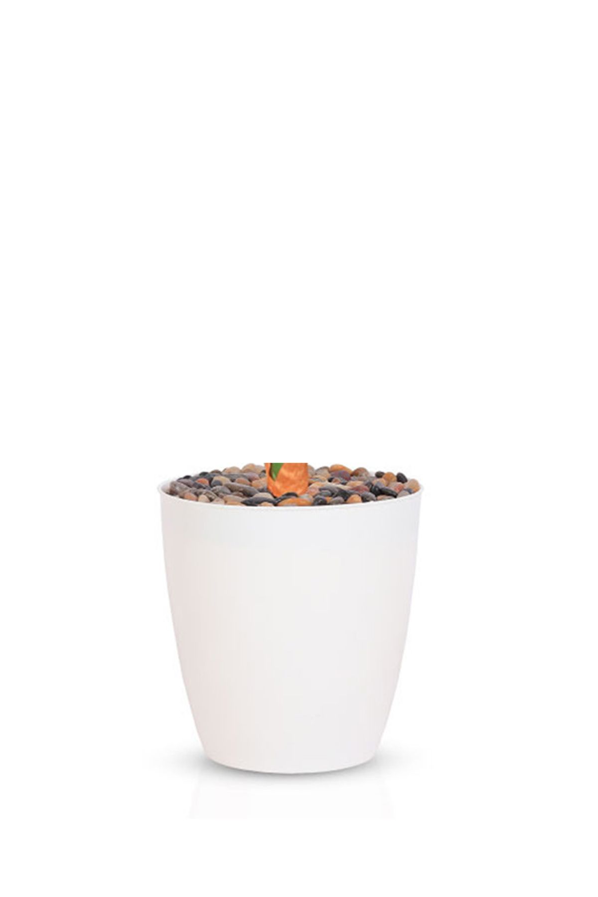 Generic-Light corn leaf tree with a cylindrical plastic container 3
