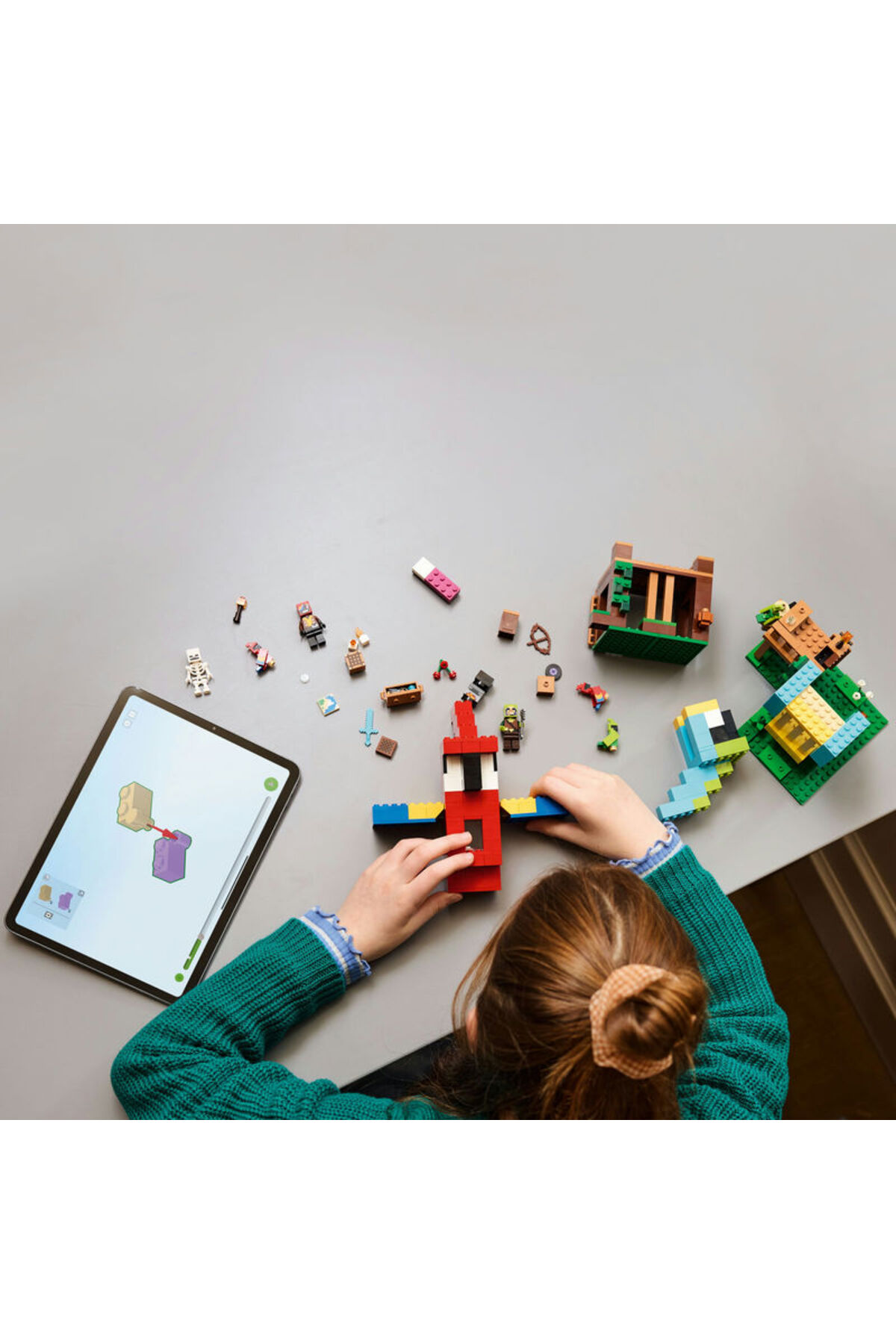 خانههای طوطی ۲۱۲۸۲