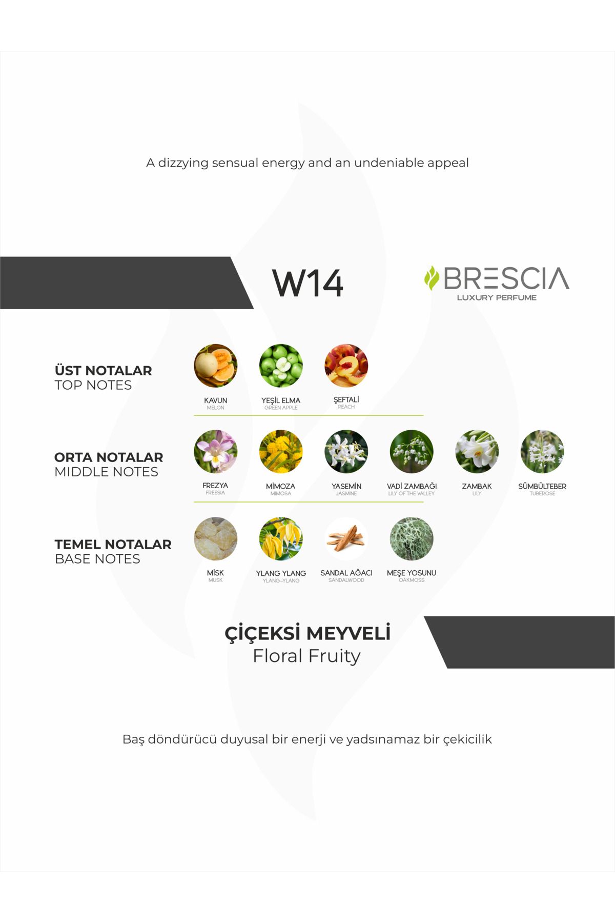 Brescia W14 Paris Hilton ادوپرفیوم 50 ml