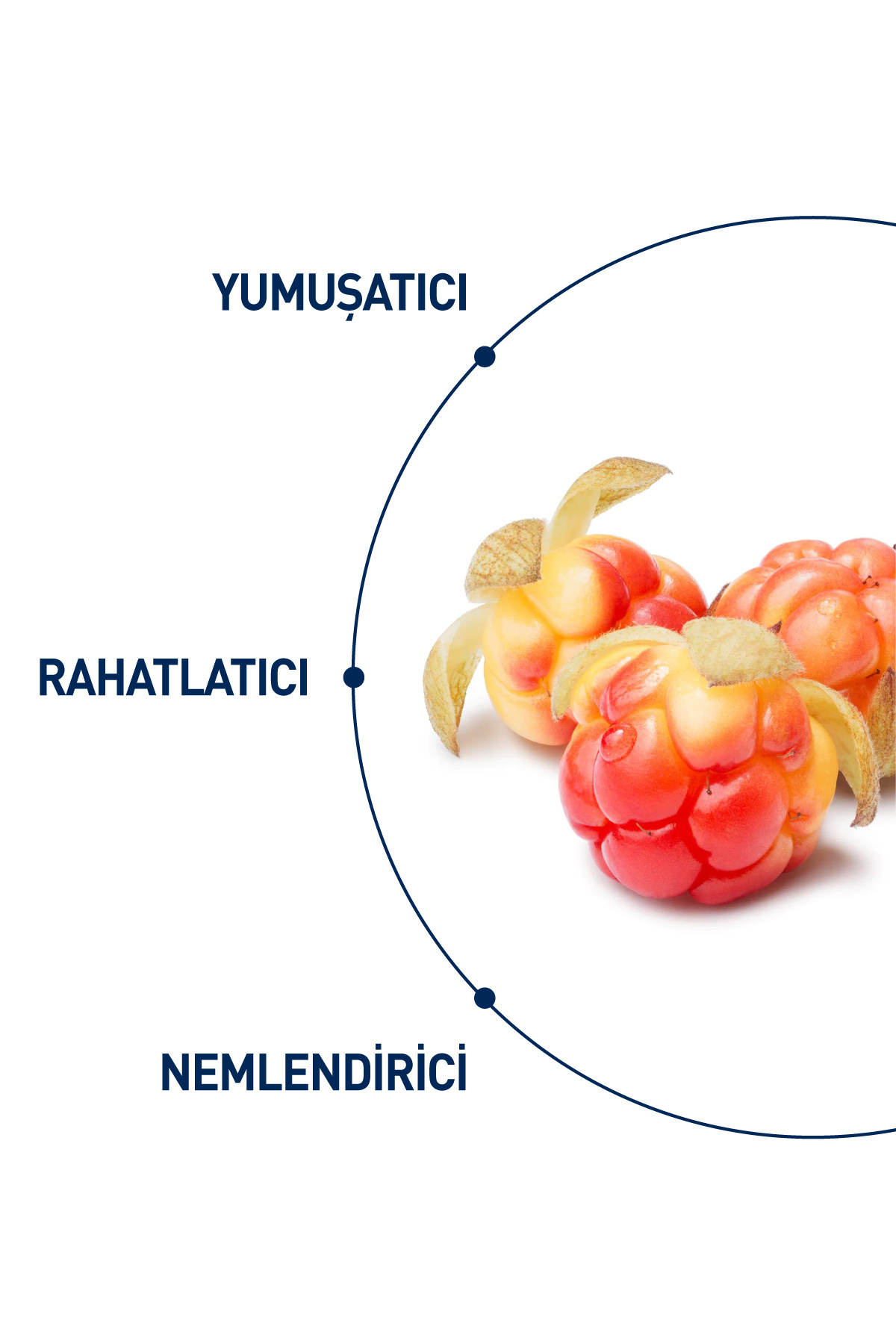 Yoğun Nemlendici ve Yatıştırıcı Cloudberry Misel Temizleme Suyu Kuru ve Hassas Ciltler 250 ml — 7350104248512 — تصویر 5 از 6