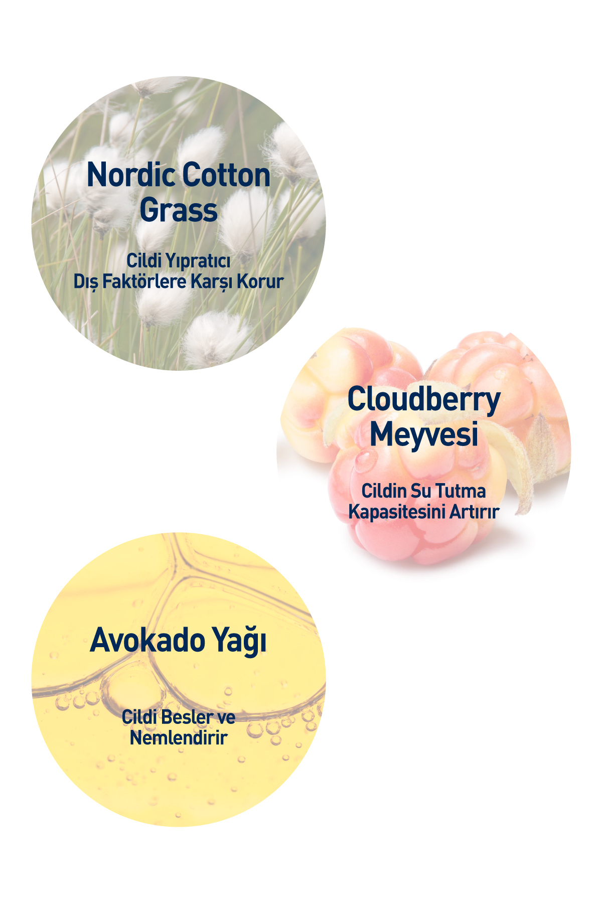 Yoğun Nemlendici ve Yatıştırıcı Cloudberry Misel Temizleme Suyu Kuru ve Hassas Ciltler 250 ml — 7350104248512 — تصویر 6 از 6