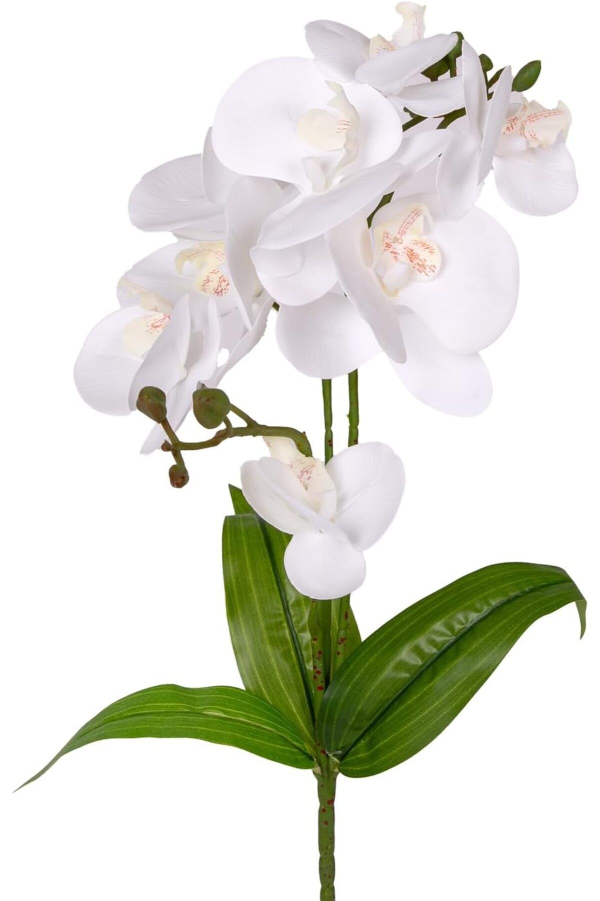 MEGOBİNE Megobine Yapay Orkide Gerçek Dokunuş Beyaz 45 Cm. shop 1073341