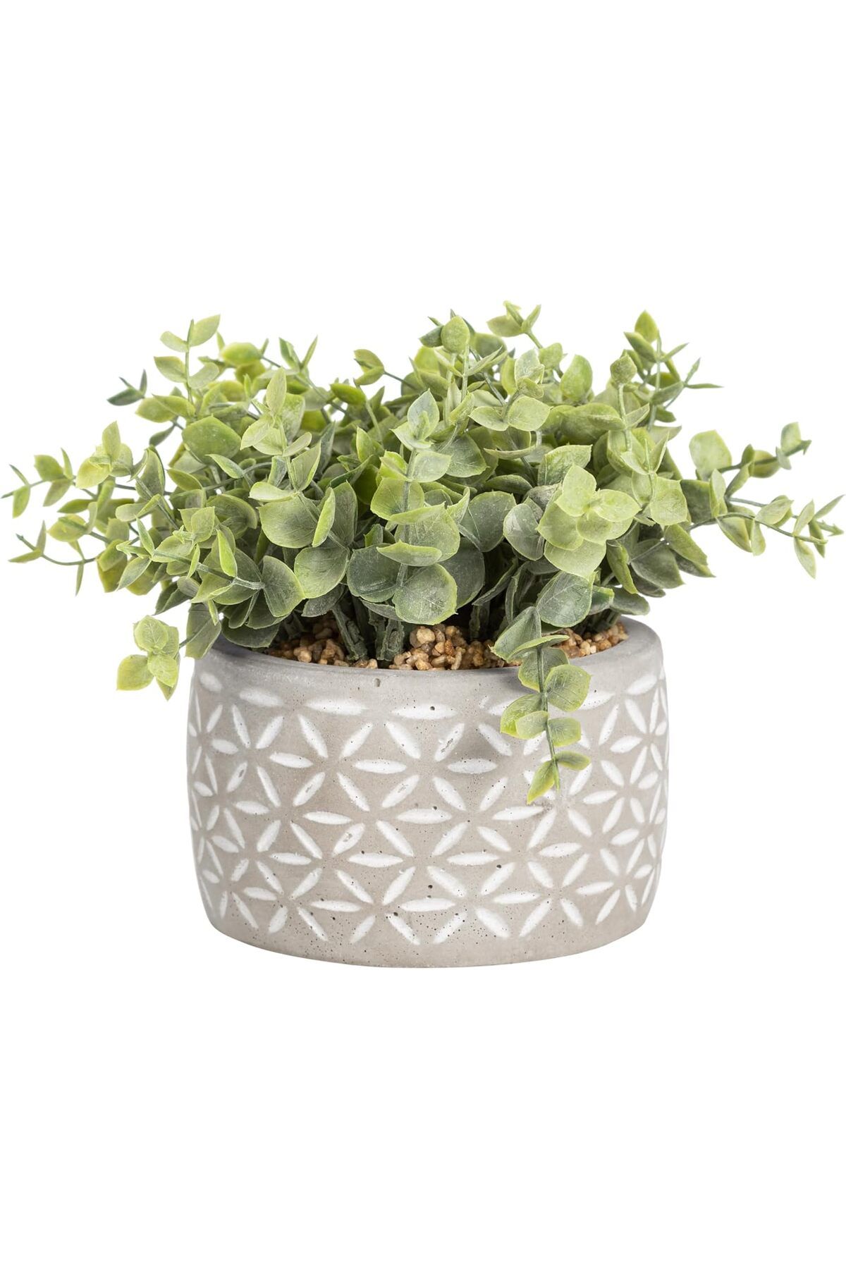 mazıdağı mazzıdağ Concept Midori Saksılı Yapay Bitki 12 x 20 cm new store 1133631