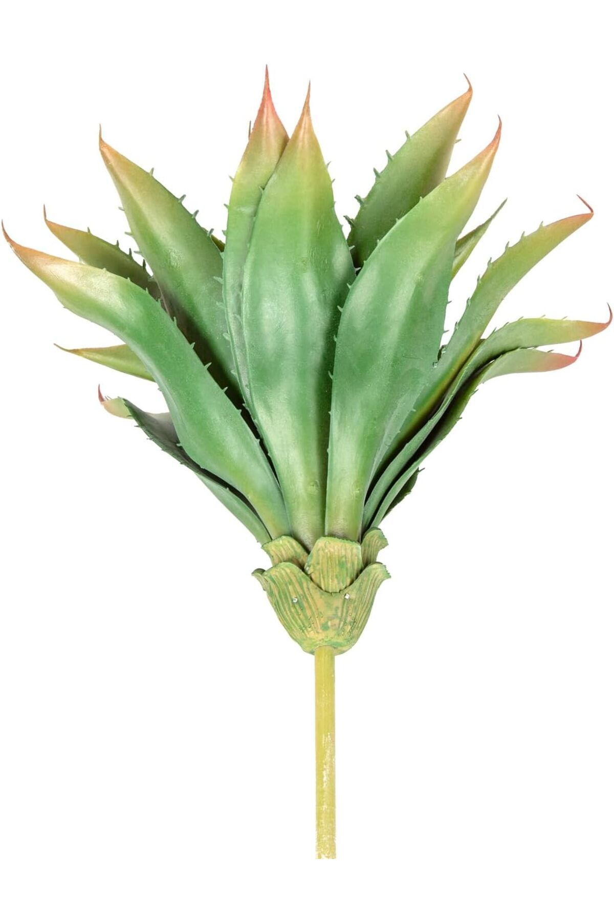 MEGOBİNE Megobine Yapay Kaktüs Sukulent Yeşil 30 Cm shop 1073341