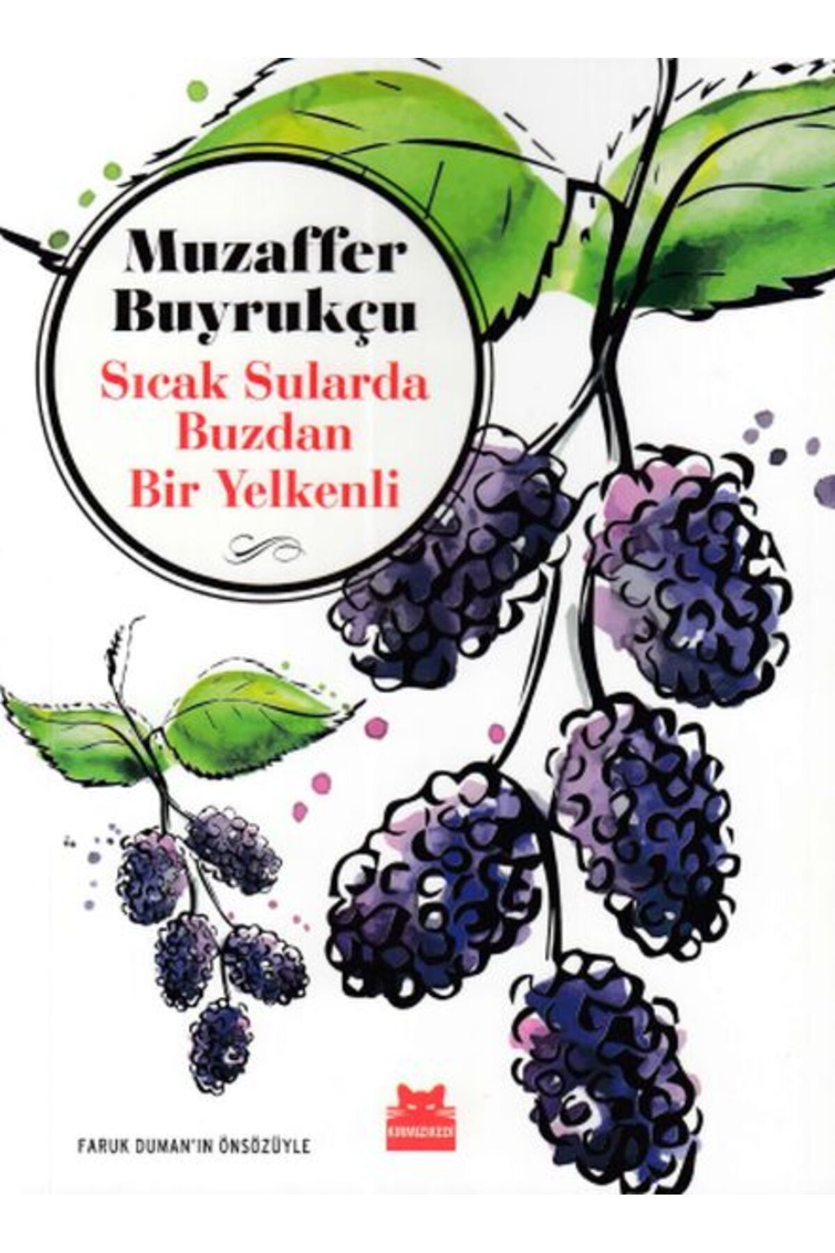 Kırmızı Kedi Çocuk Sıcak Sularda Buzdan Bir Yelkenli
