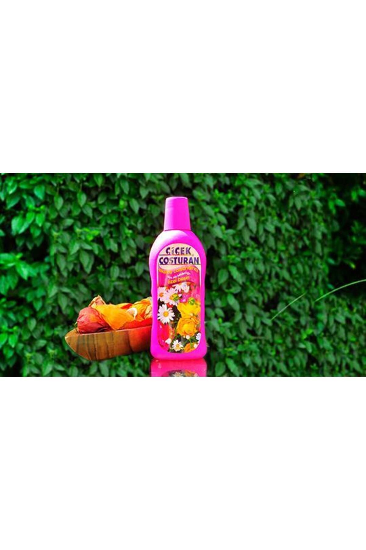 Lisinya Tüm Süs Bitkileri İçin Extra Canlandırıcı