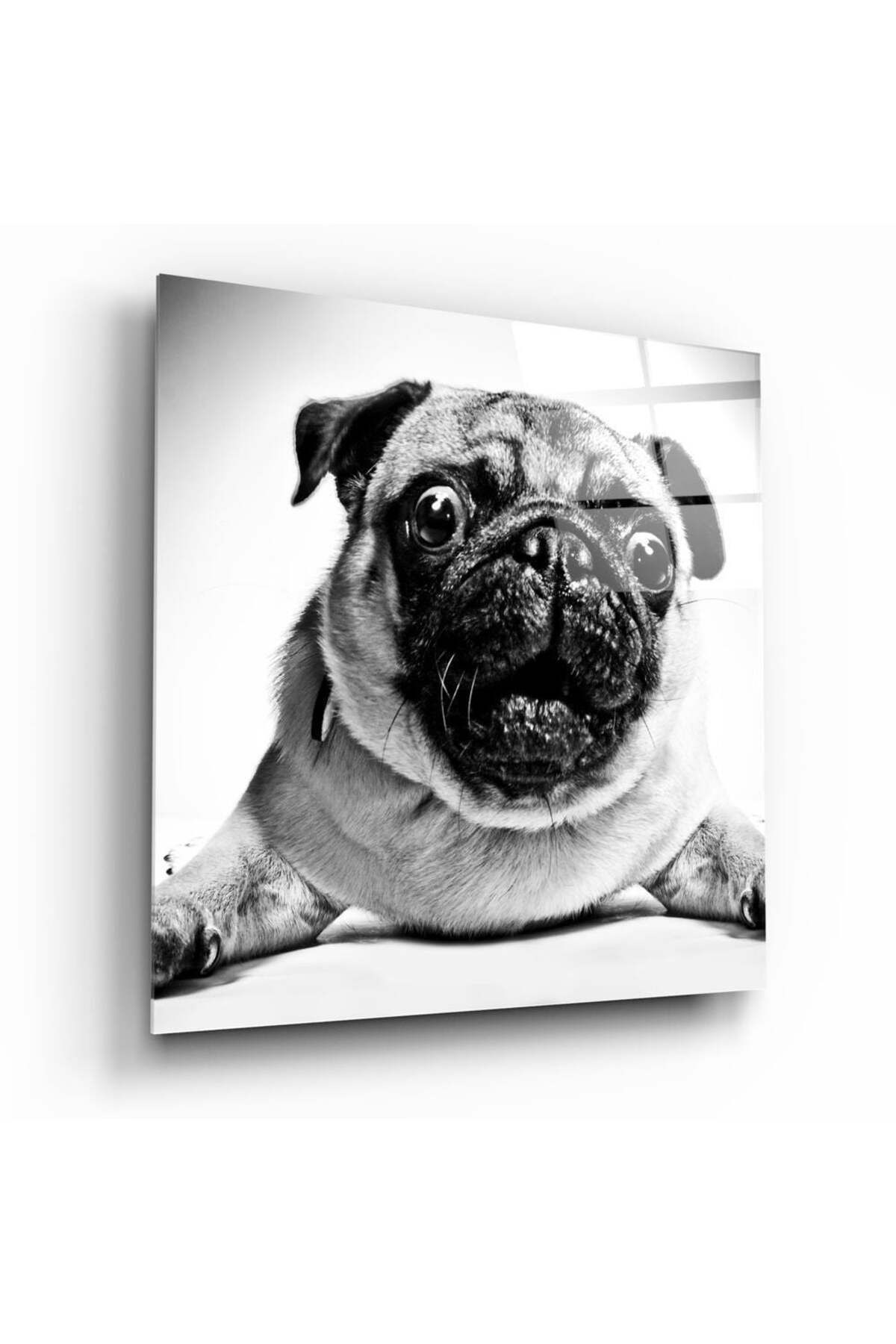 First Date Pug Köpek Cam Tablo No:1043