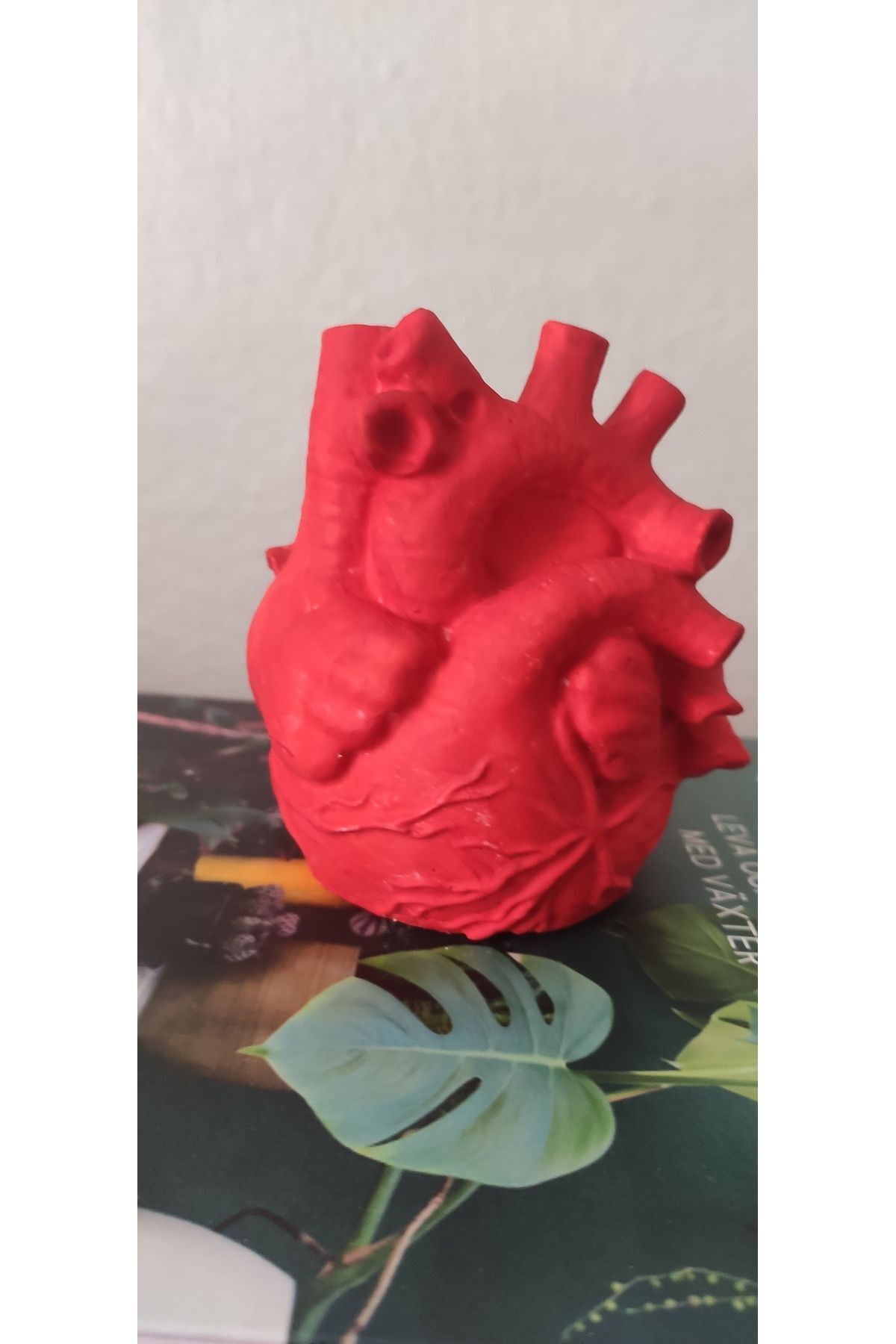 SerenityHaven Kırmızı anatomik kalp