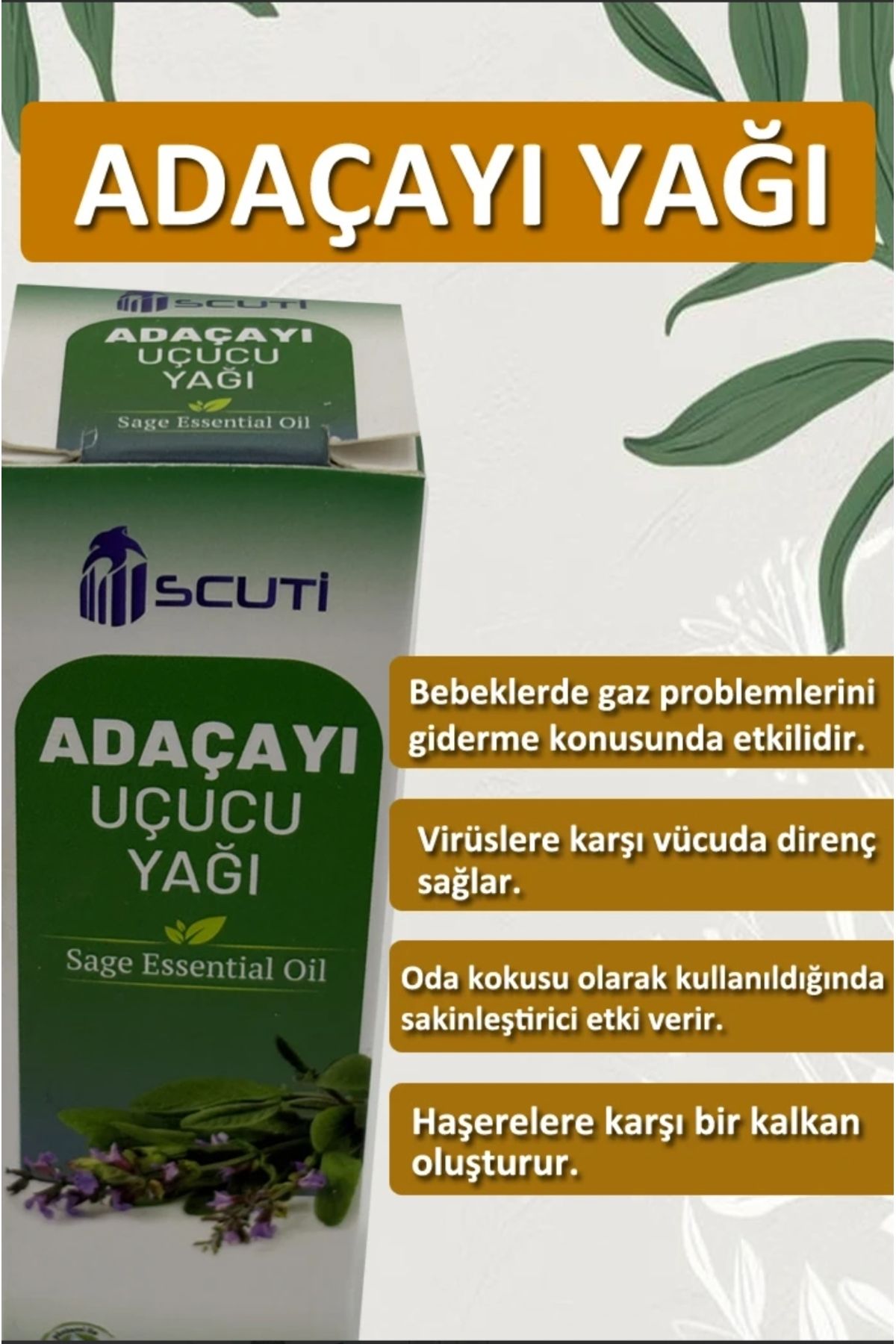 scuti Adaçayı ( Acı Elma) Yağı 10 ml
