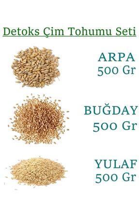 yeşilsera Kedi Çimi Bugday Arpa Yulaf Tohumu 500 gr Toplam 1500gr