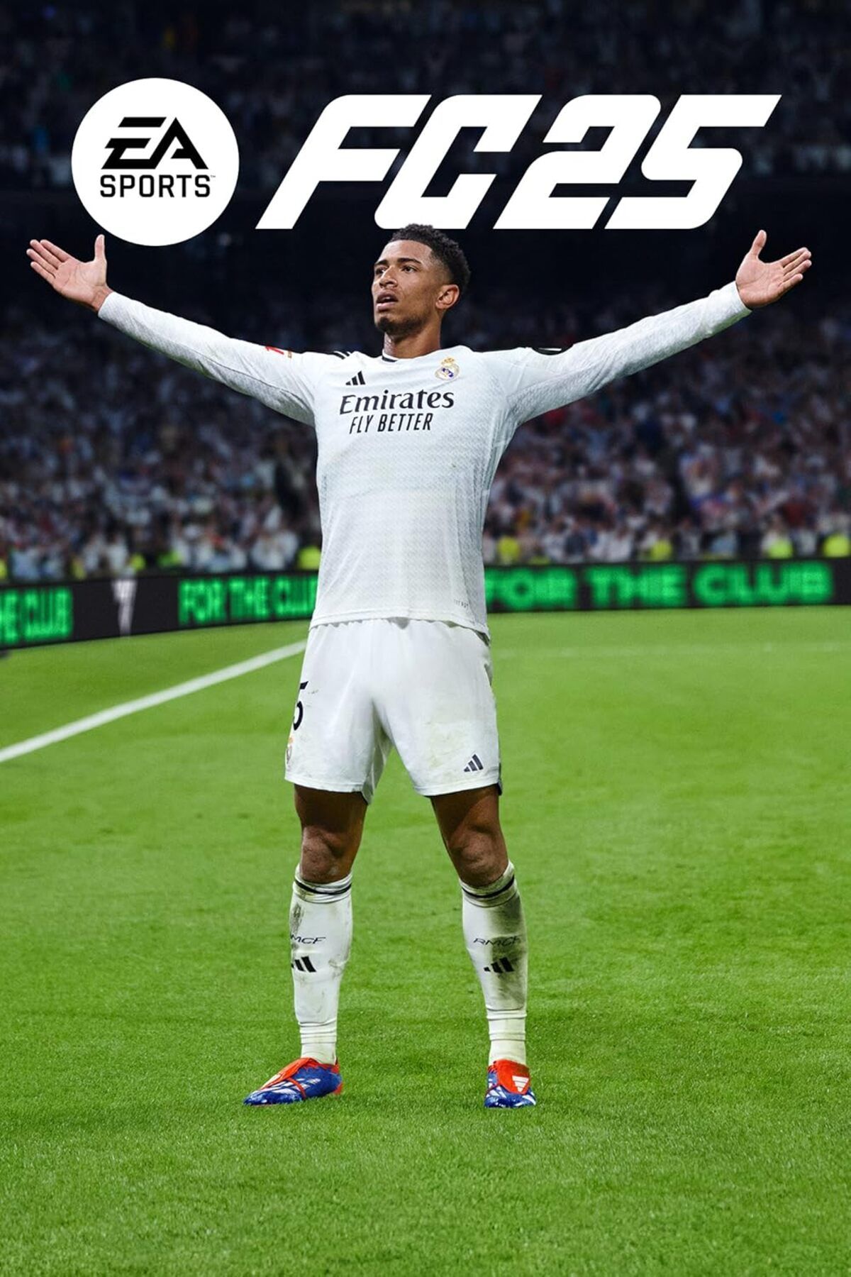 EA Sports FC 25 PC OYUN STEAM