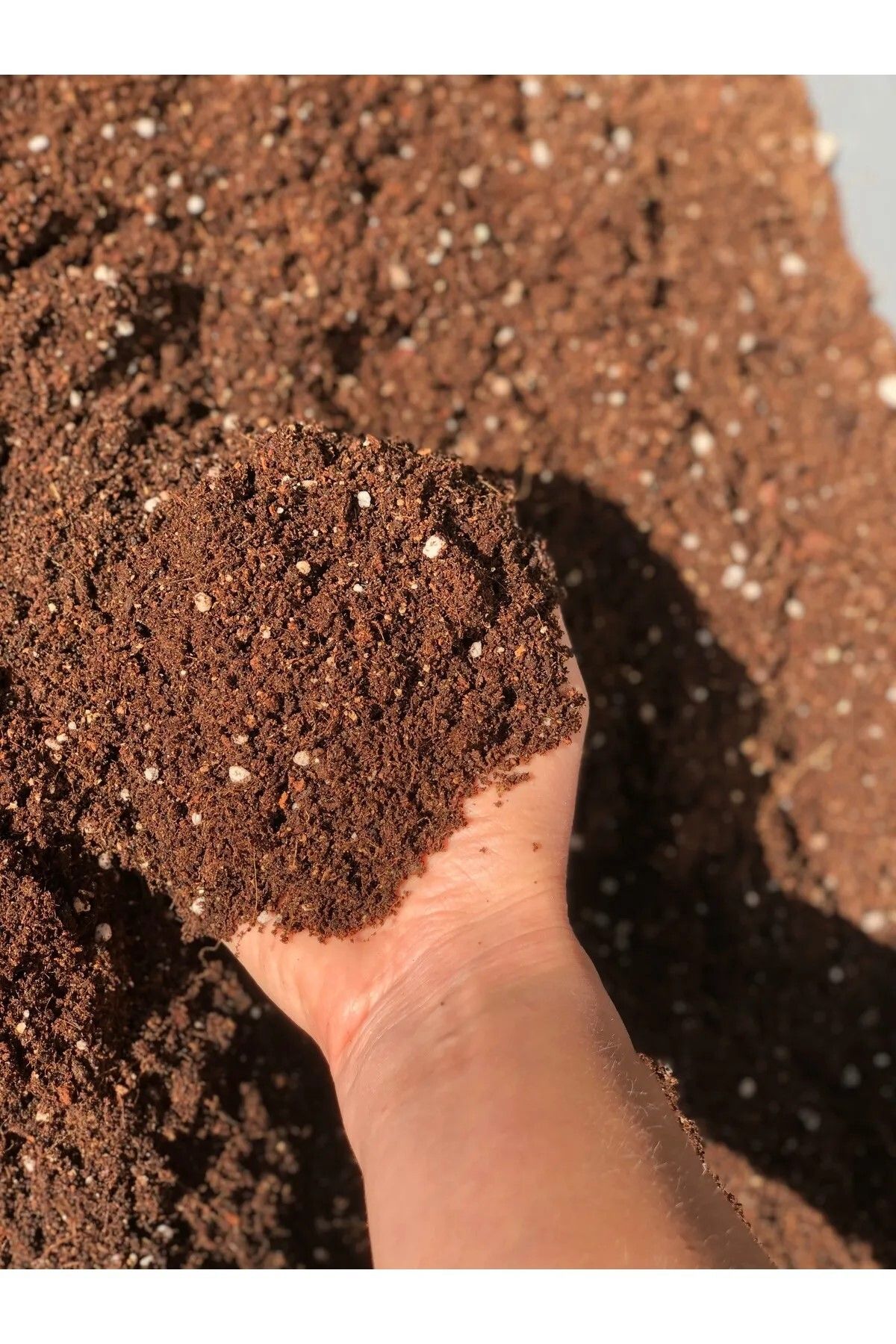 cangardenia Yüksek Kalite, Süs Bitkileri, Çiçek Tohumları , Meyve ve Sebze Tohumları İçin Torf (Toprak) 10 Lt