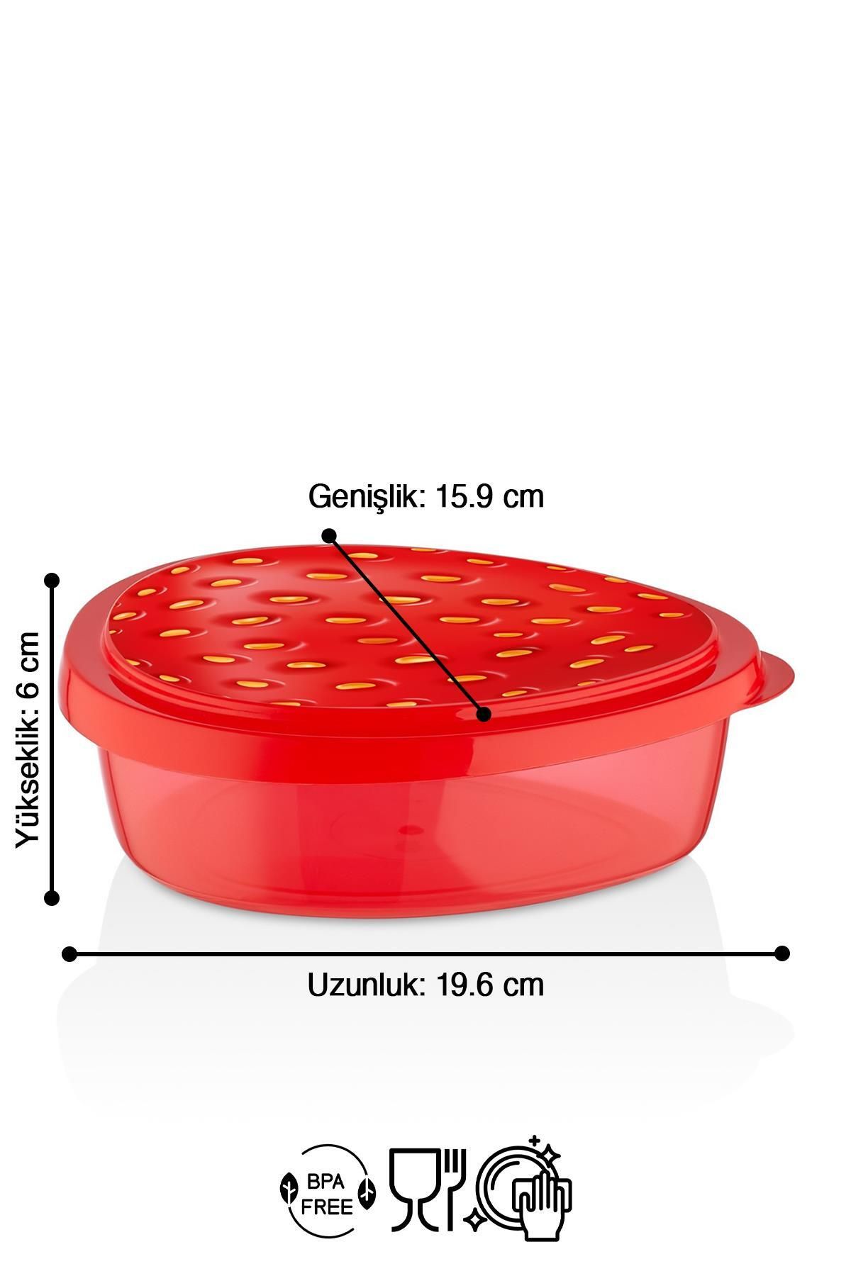 HOMENIVA-Stylish Design Storage Container with 4 Leakproof Lids 6
