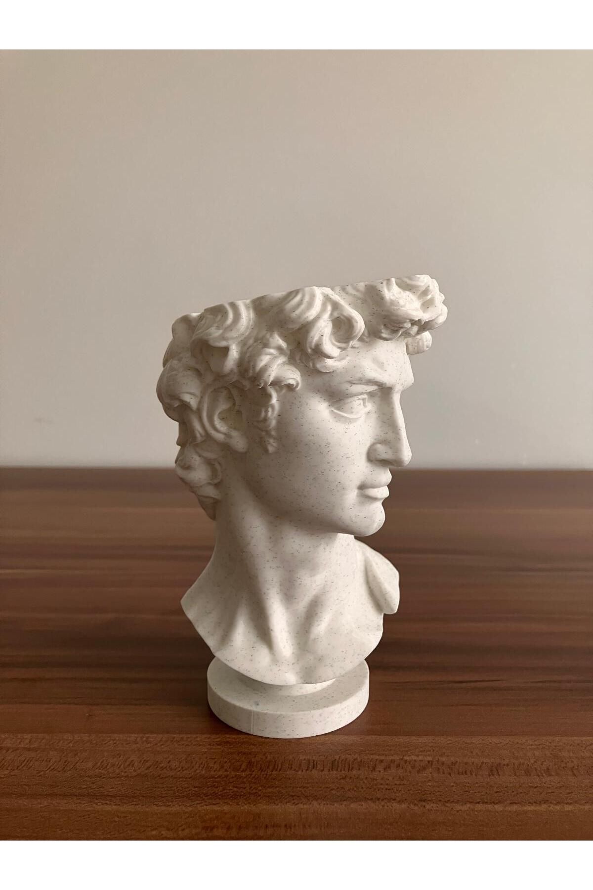 genomera David Saksı (Küçük Model)