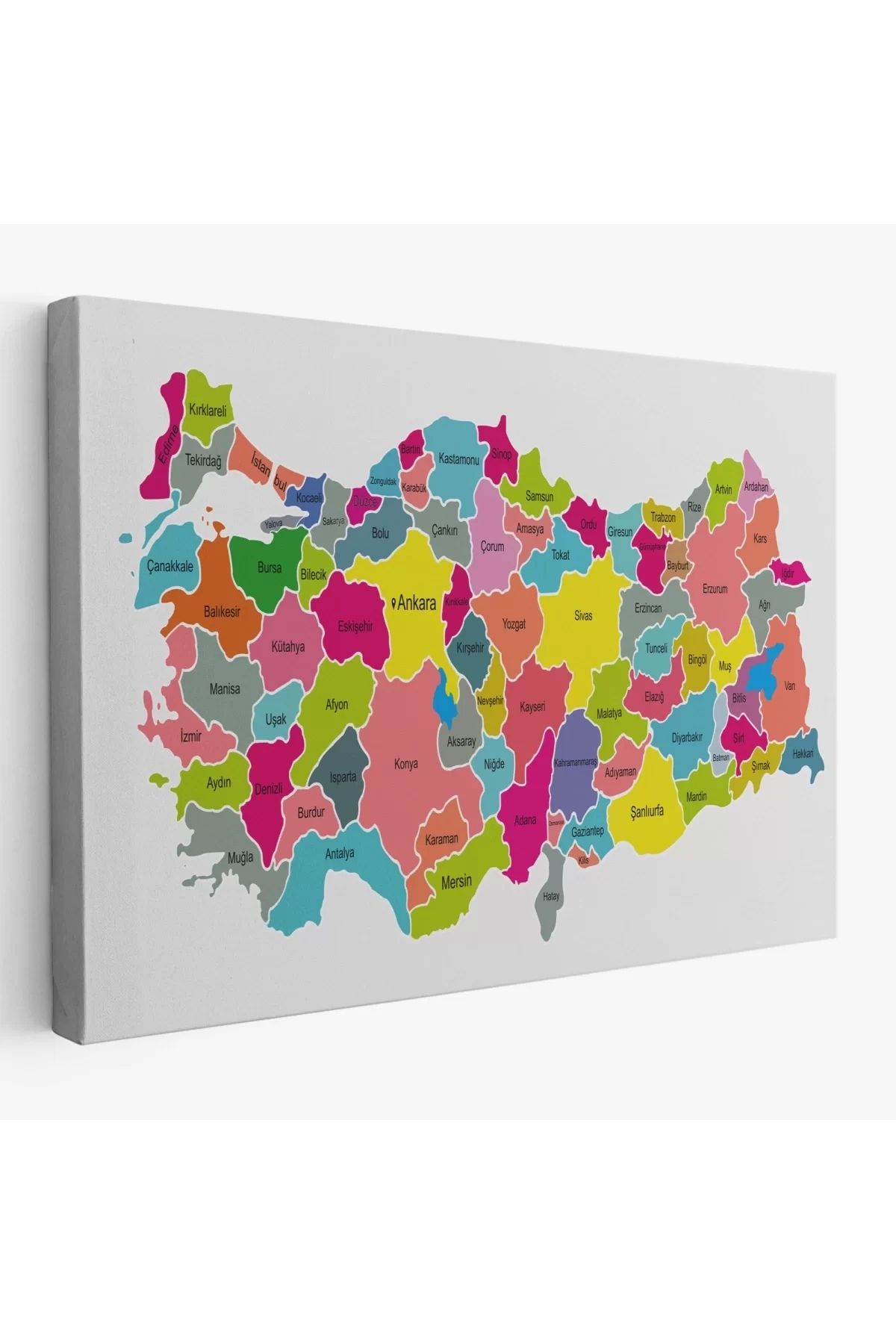 feifei Türkiye Haritası Kanvas Tablo-1023