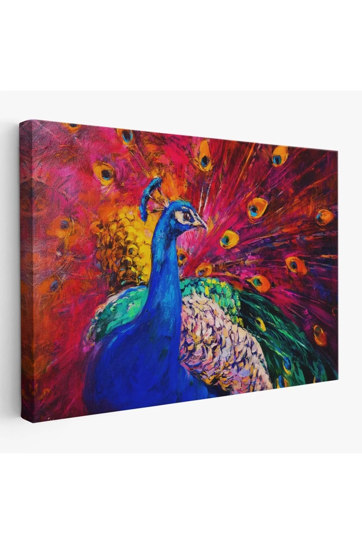 feifei Çok Renkli Tavus Kuşu Modern Sanat Kanvas Duvar Tablosu-1112