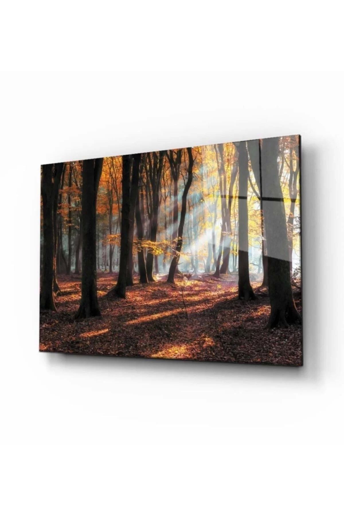 ÖYKÜ VE YİĞİT Doğa Manzara Cam Tablo 4mm Dayanıklı Temperli Cam