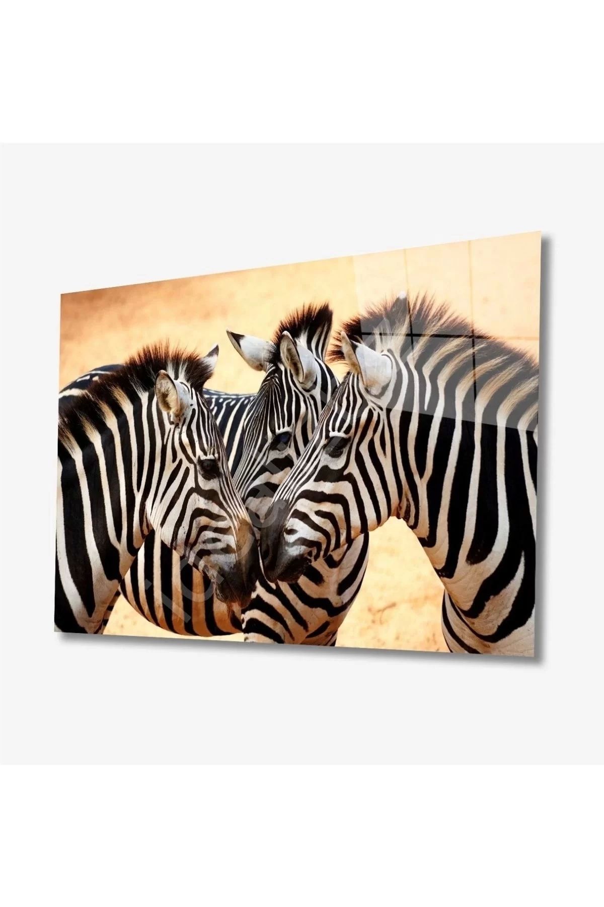 ÖYKÜ VE YİĞİT Zebra Hayvan Cam Tablo 4mm Dayanıklı Temperli Cam