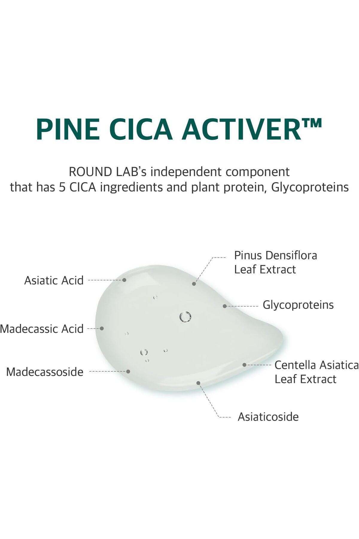 Round Lab-ROUND LAB Pine Calming Cica Sheet Mask (10ea) 7