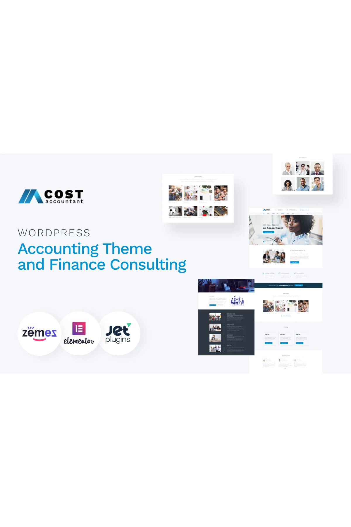 hemen tasarım Cost Accountant - Accounting and Finance Consulting Wordpress Teması