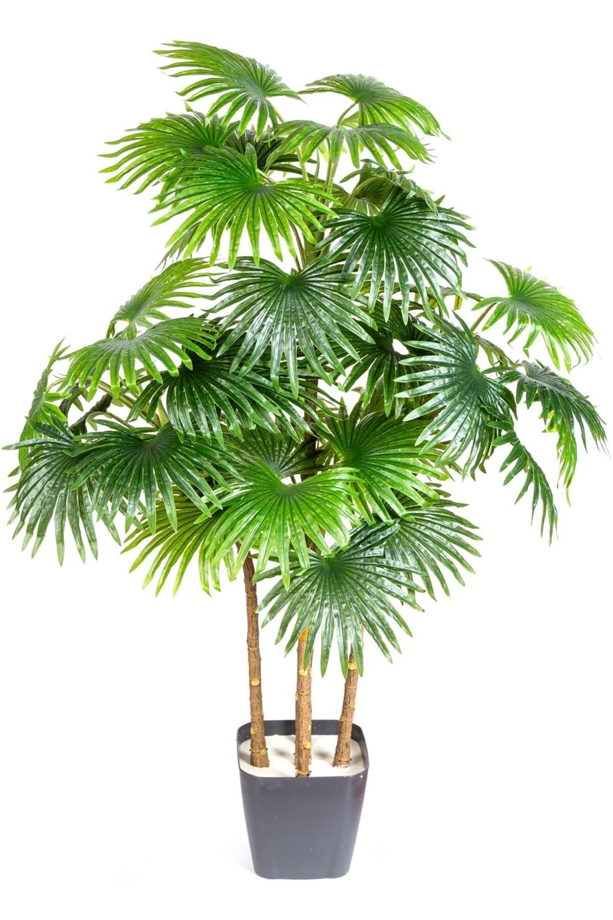 MEGOBİNE Megobine Yapay Palmiye Ağacı 100 Cm. shop 1073341