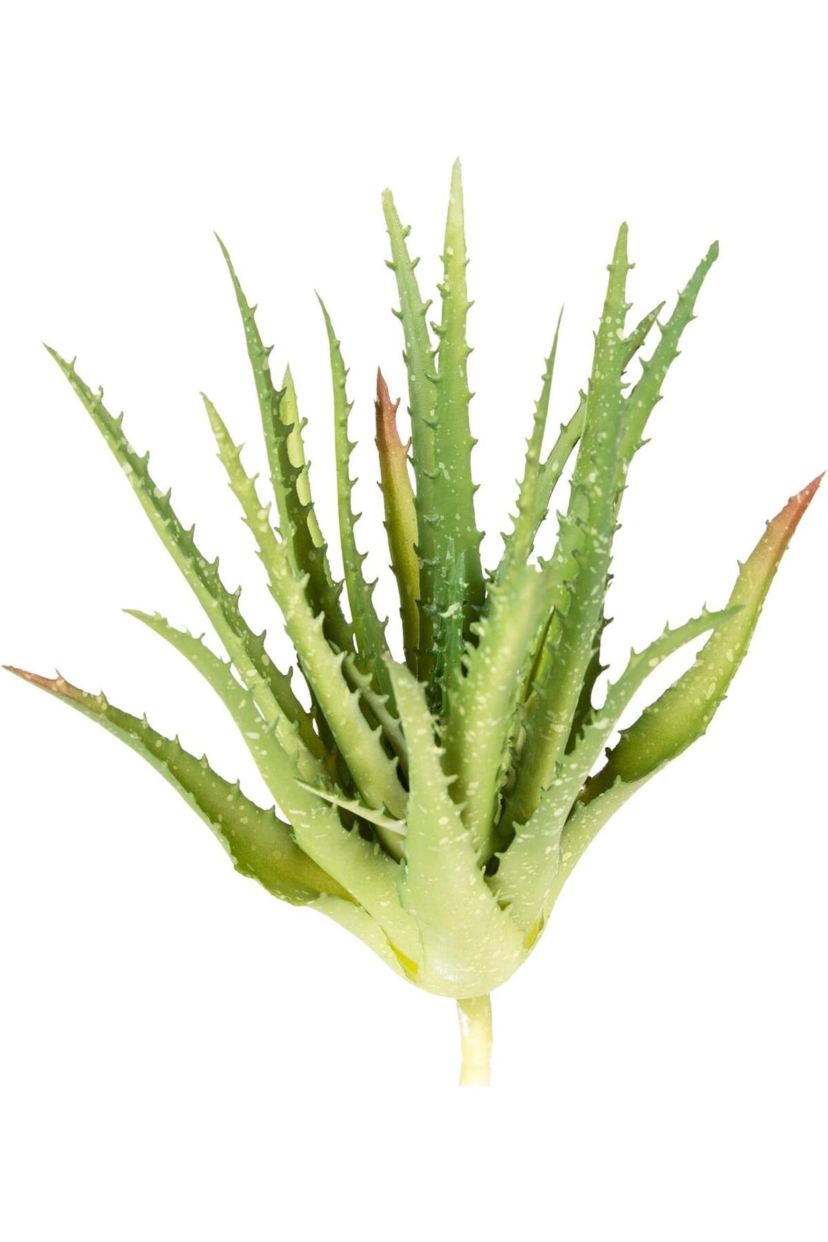 MEGOBİNE Megobine Yapay Kaktüs Sukulent Yeşil 23 Cm shop 1073341