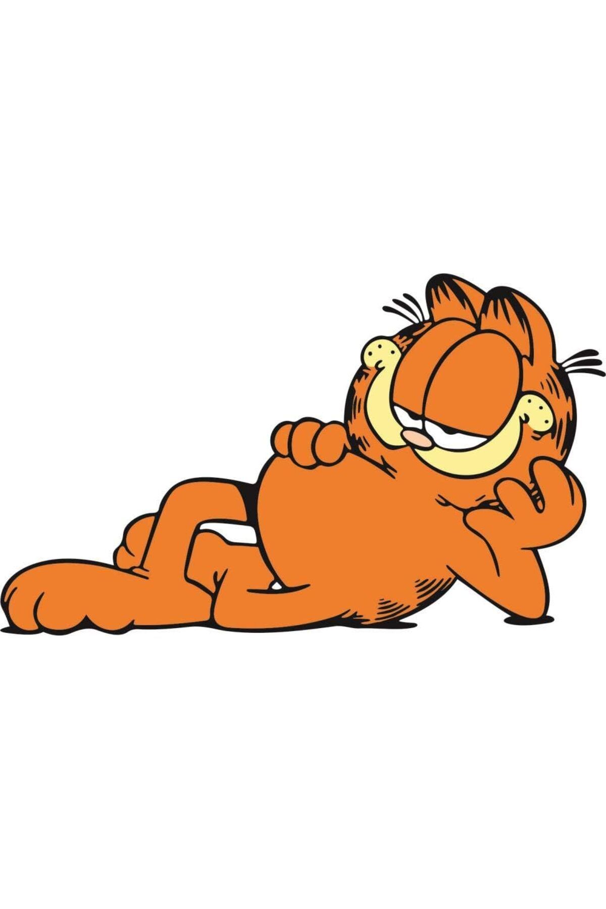 KDROĞLU plamystical Master Garfield Motorsiklet,Kask,Laptop,Motor Ve Oto Araç Sticker 13 X 8 Cm newing 1139