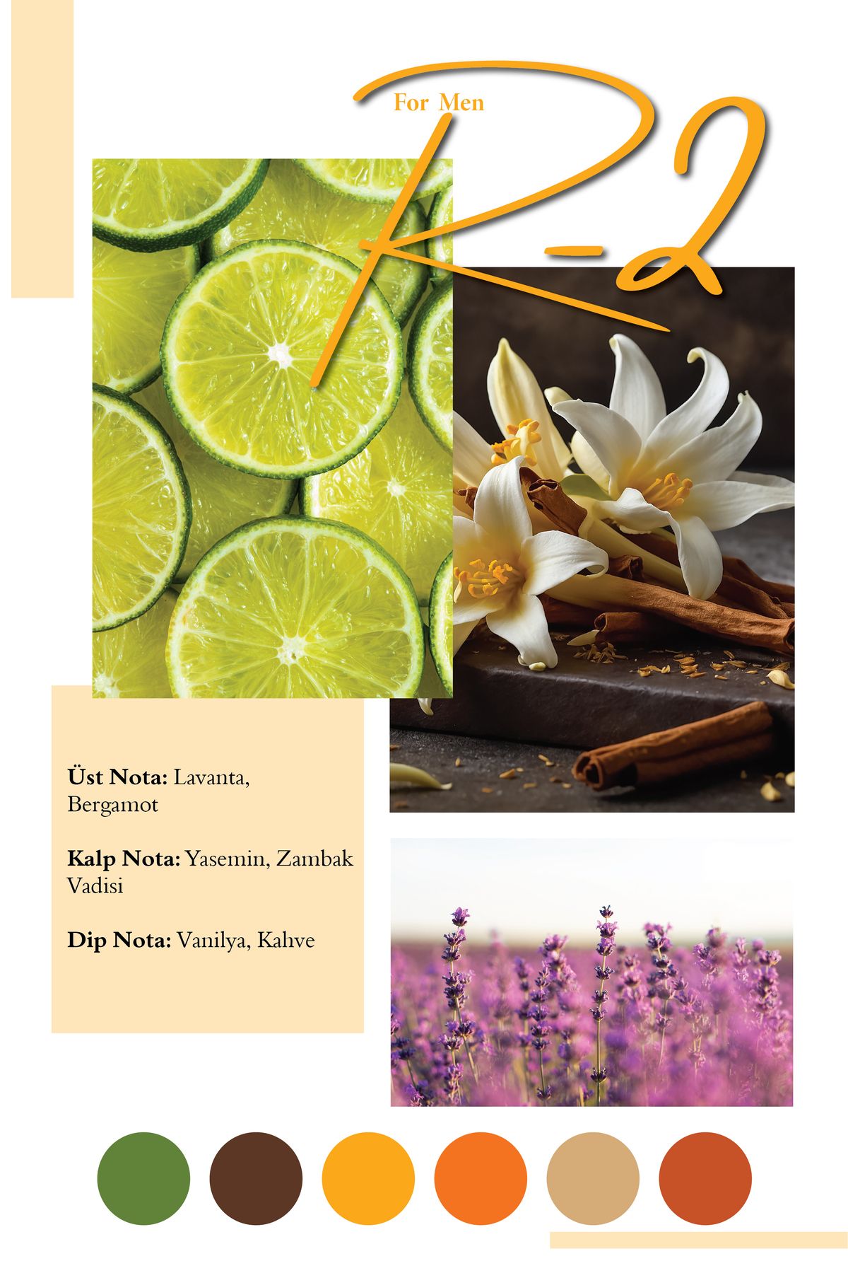 عطر مردانه R 2 50 میل Frederic Patric